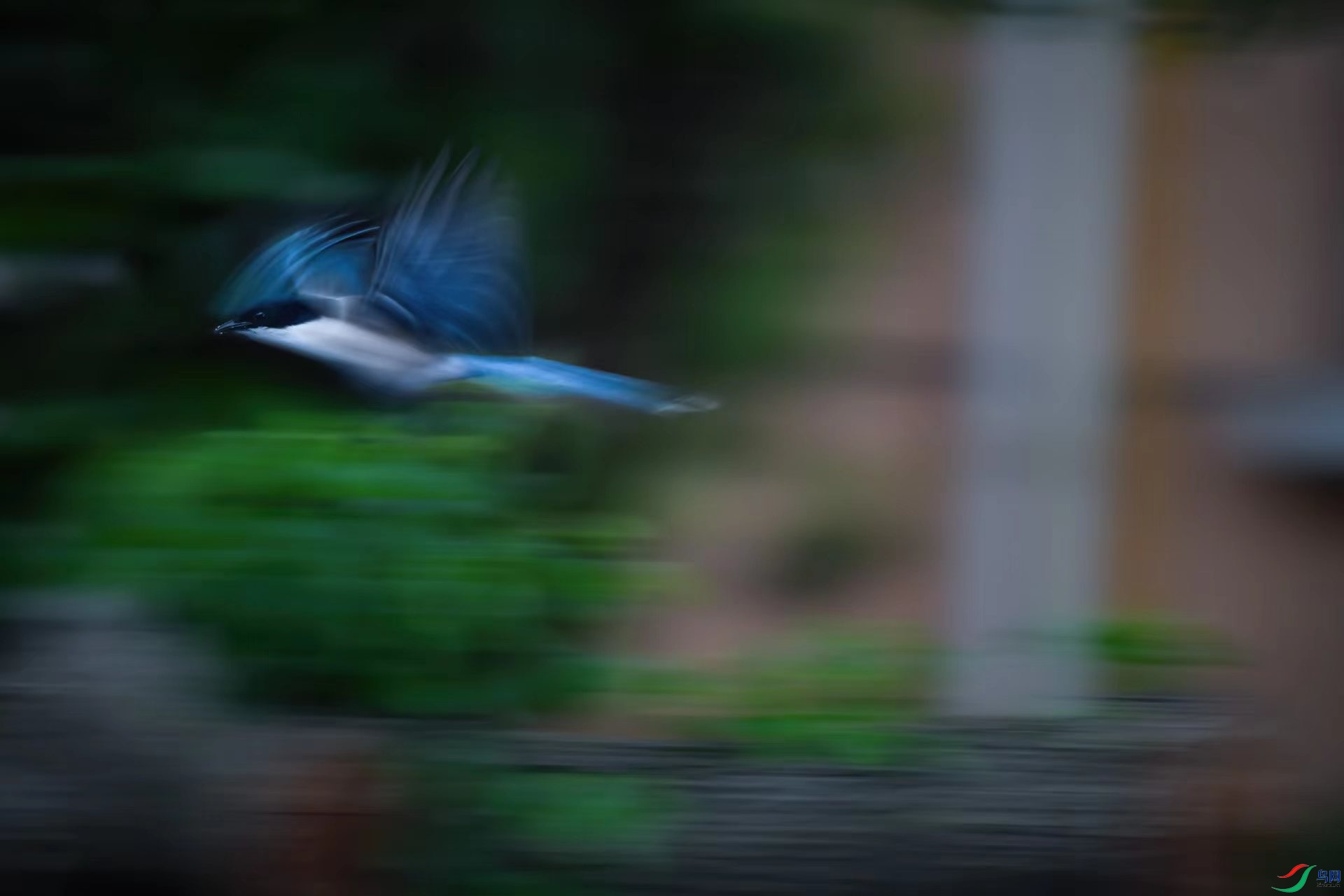 896f744adb1ec21f16273c3e926fa87.jpg