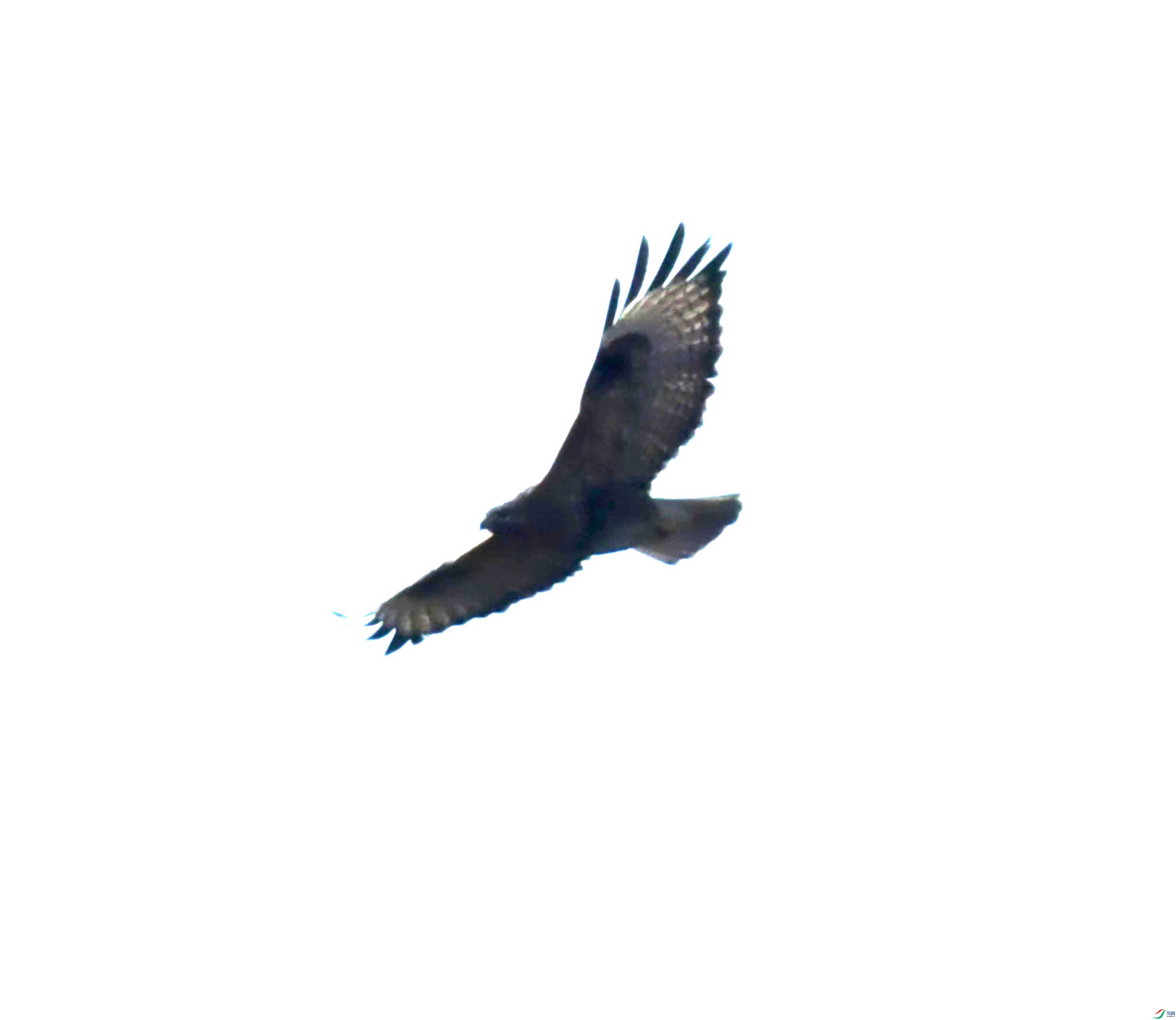 DSC_0951.JPG