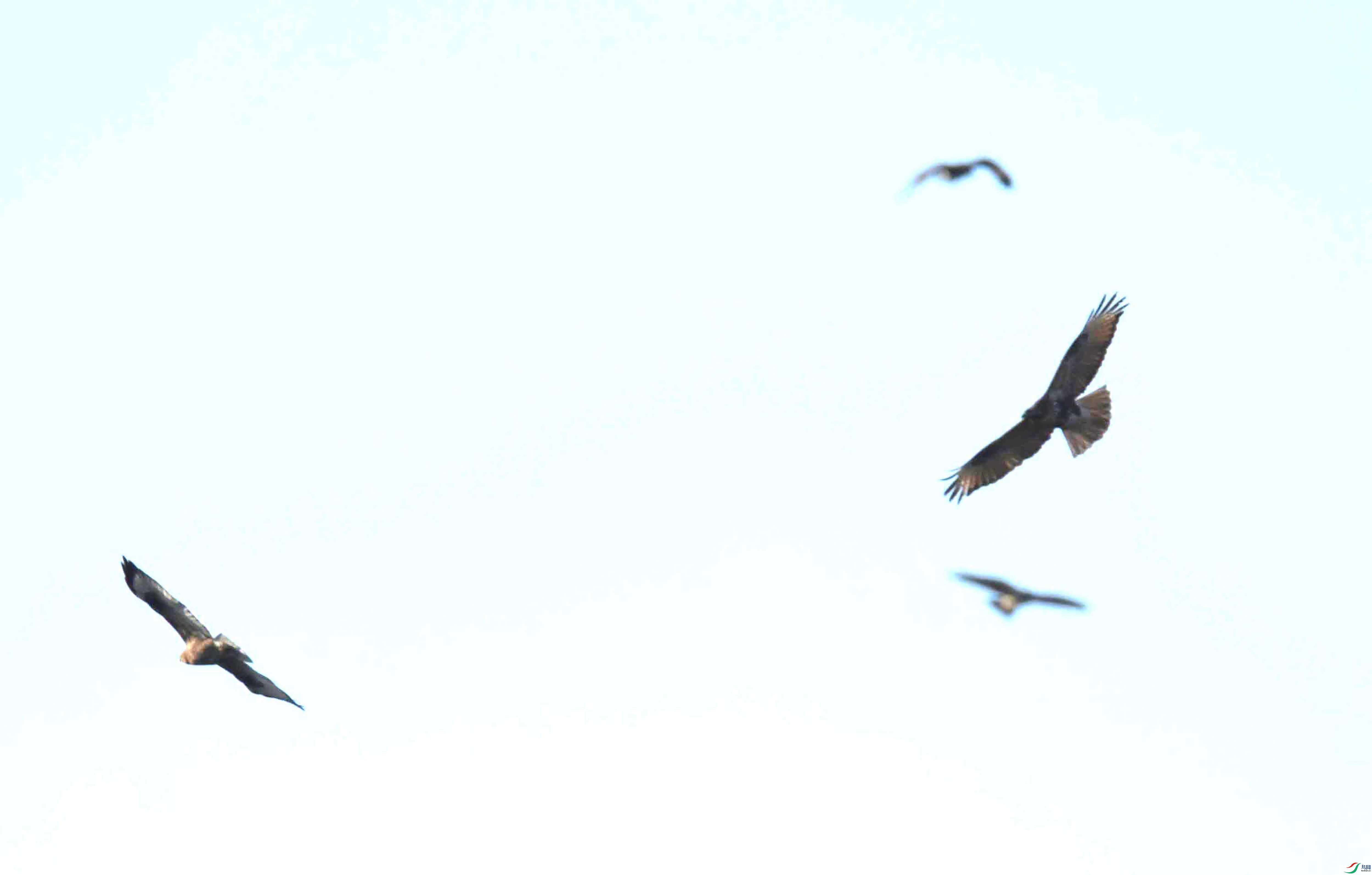 DSC_0957.JPG