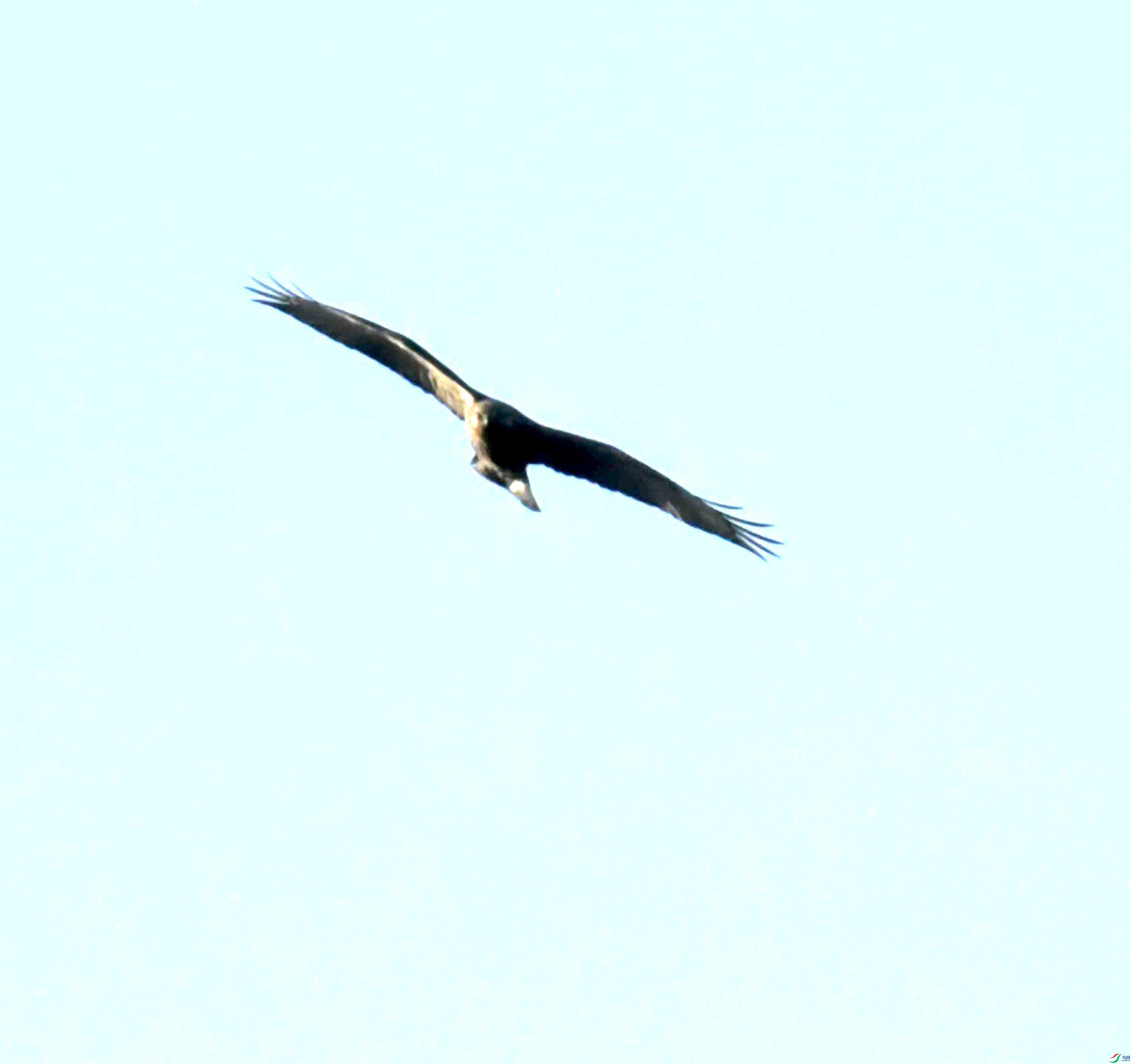 DSC_0977.JPG