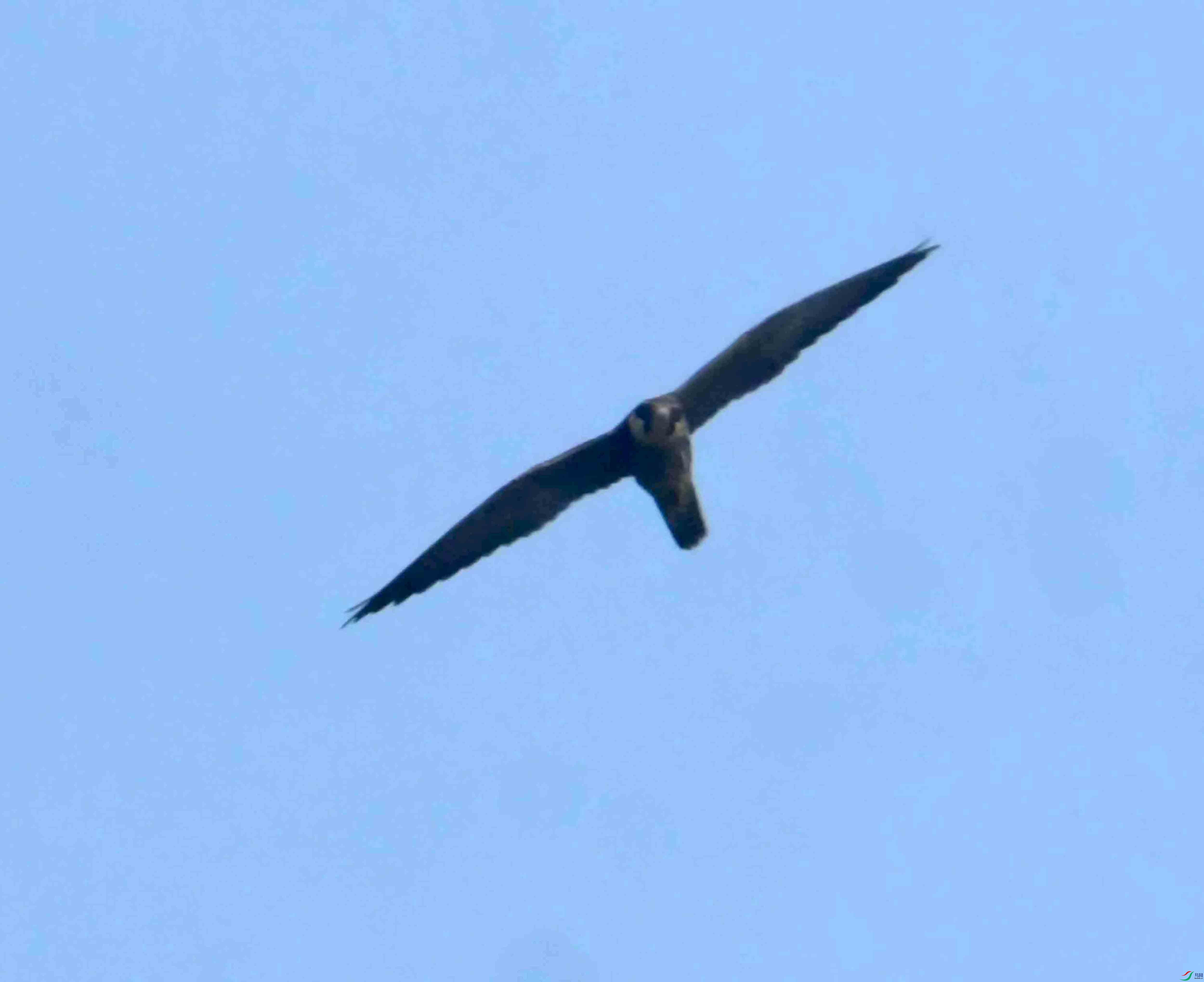 DSC_6863.JPG