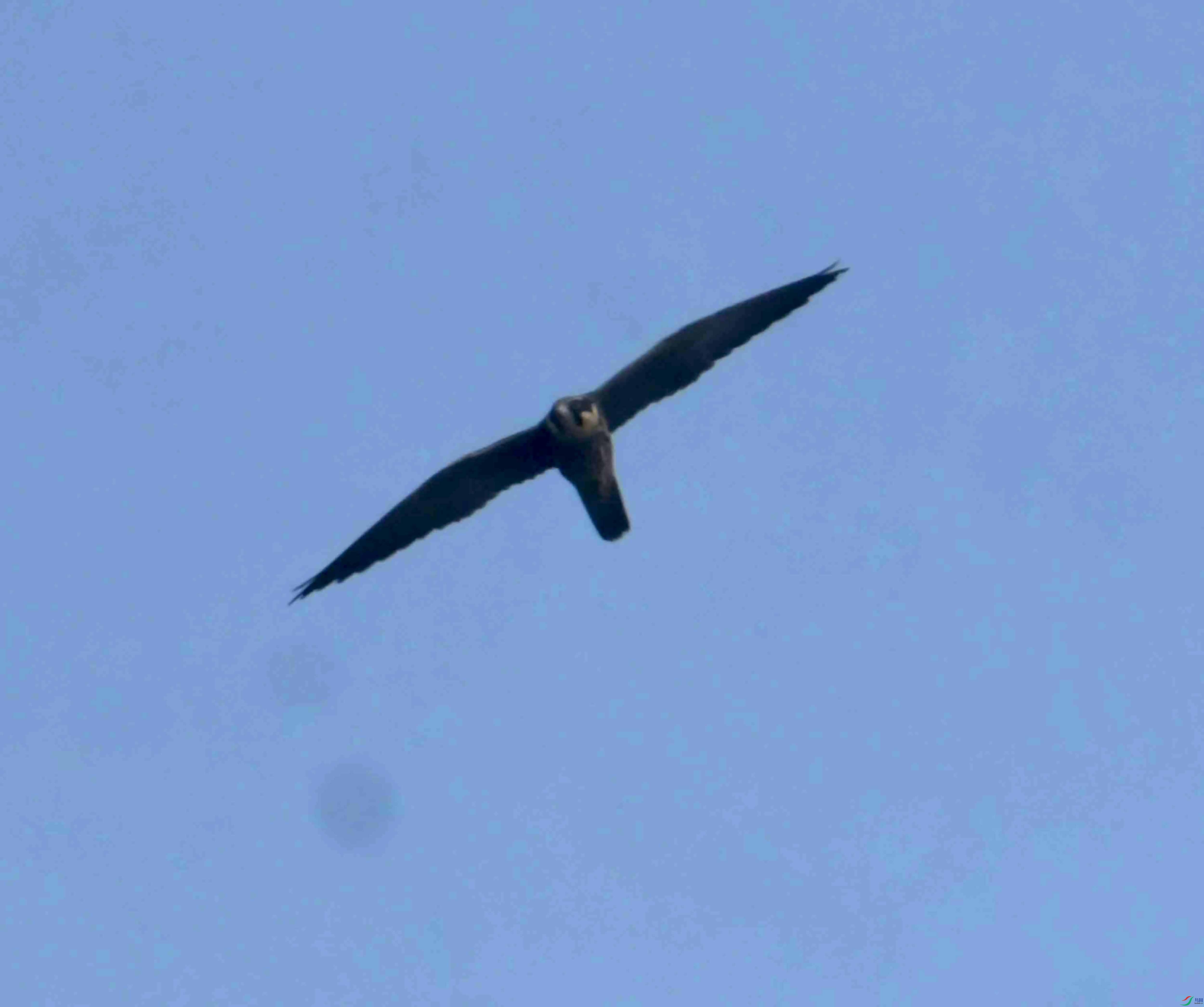 DSC_6864.JPG