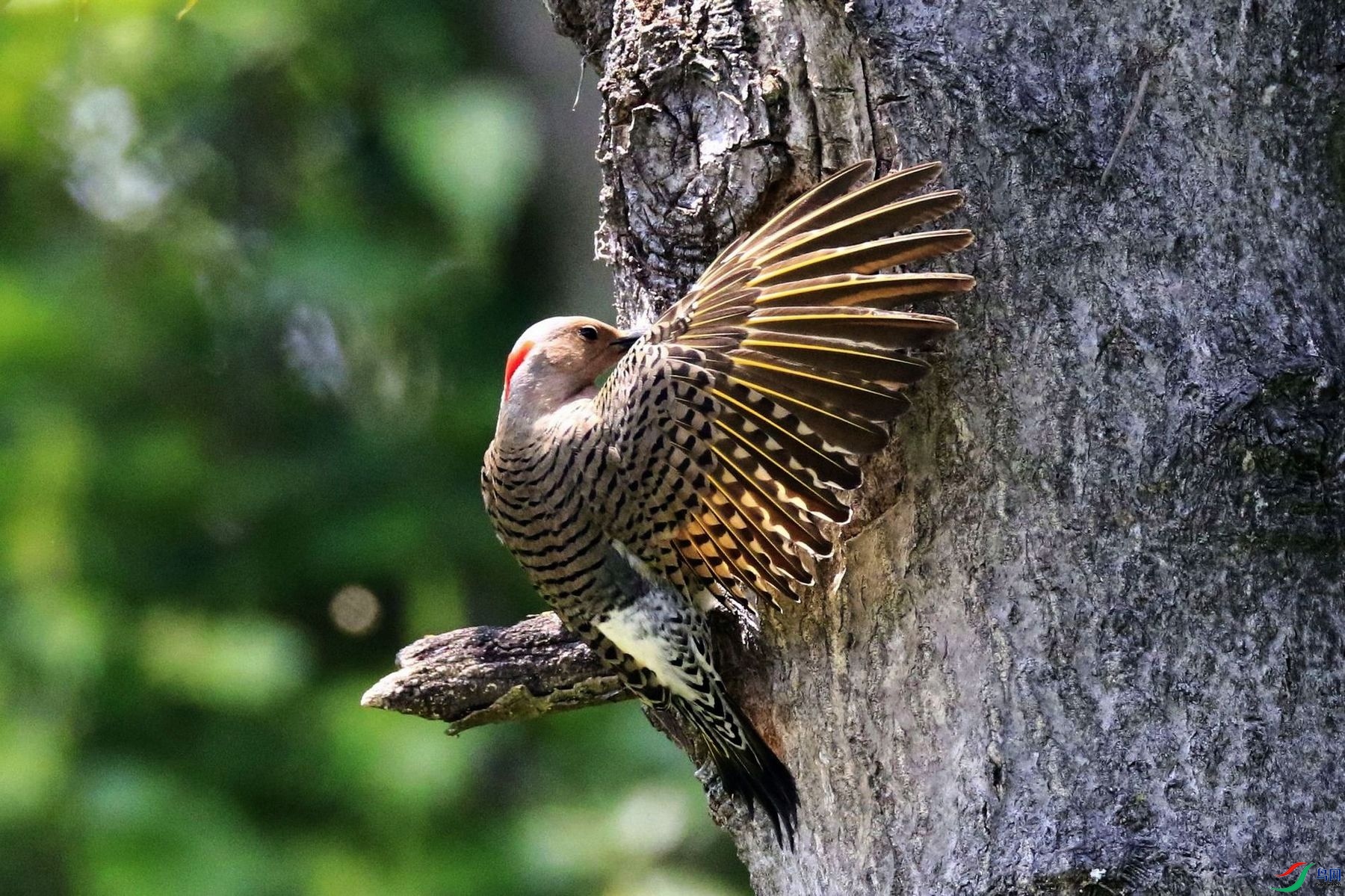 ���˳��� 07.jpg