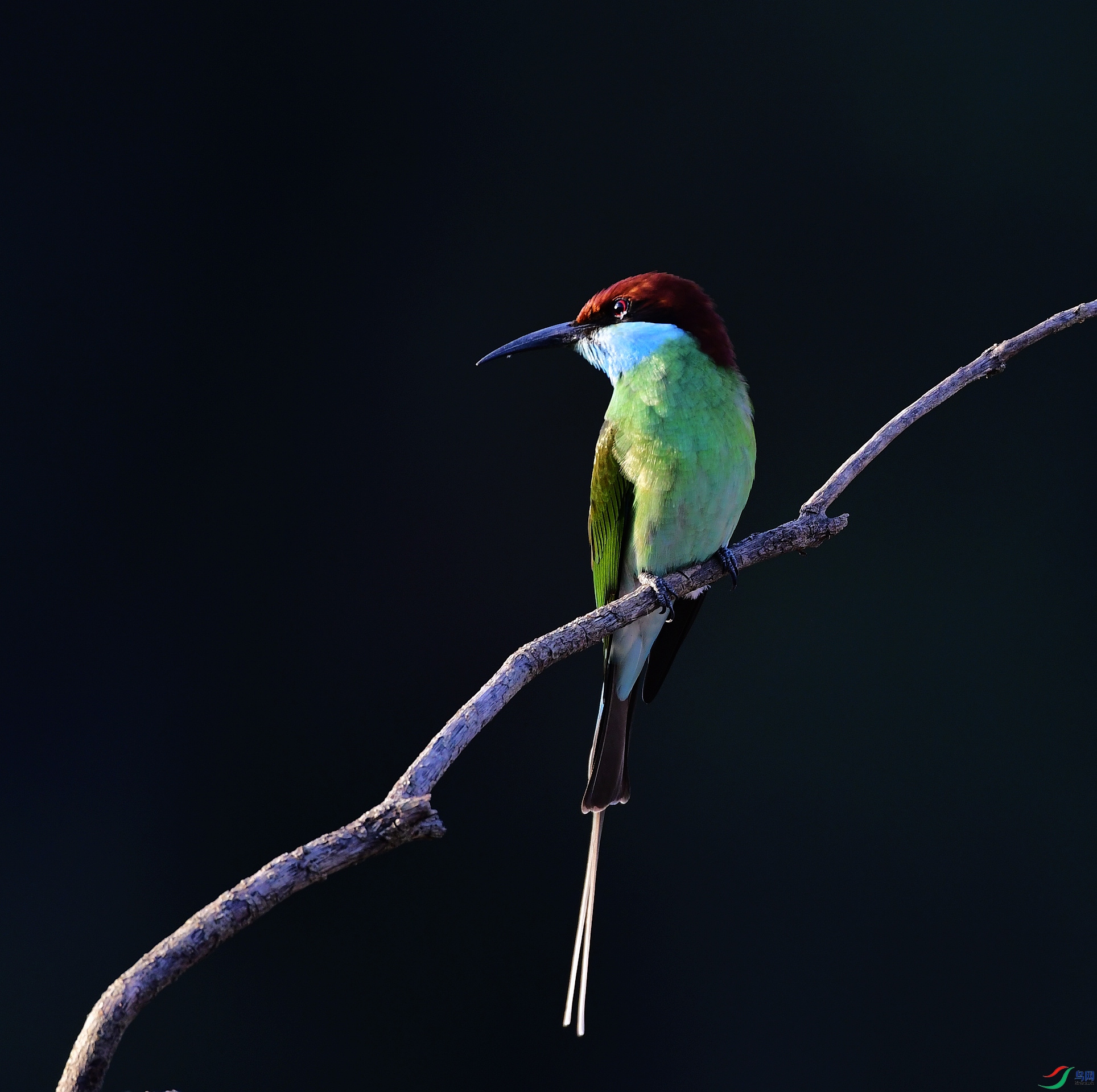 _D5D9748.jpg
