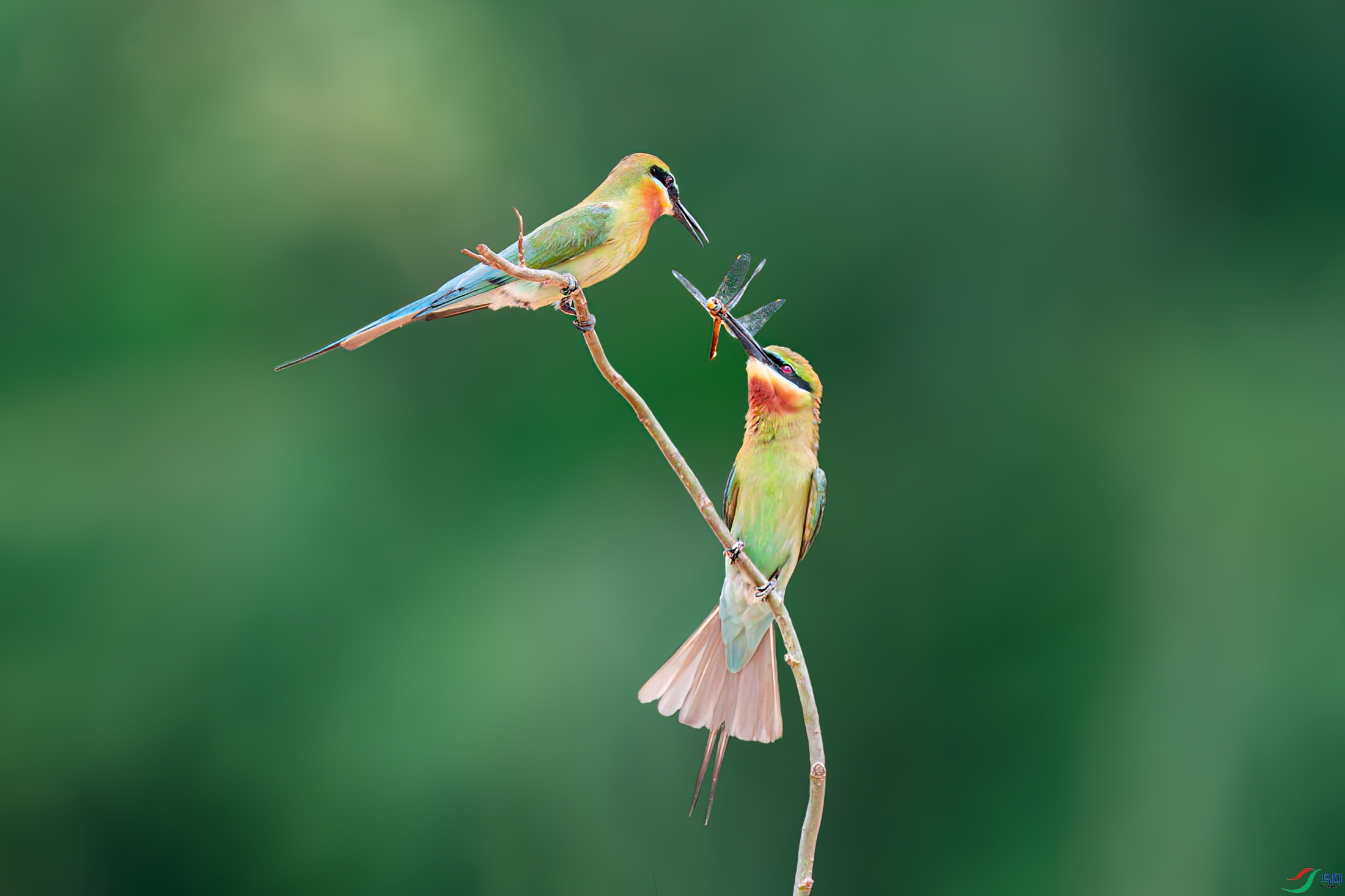 DSC_9831.jpg