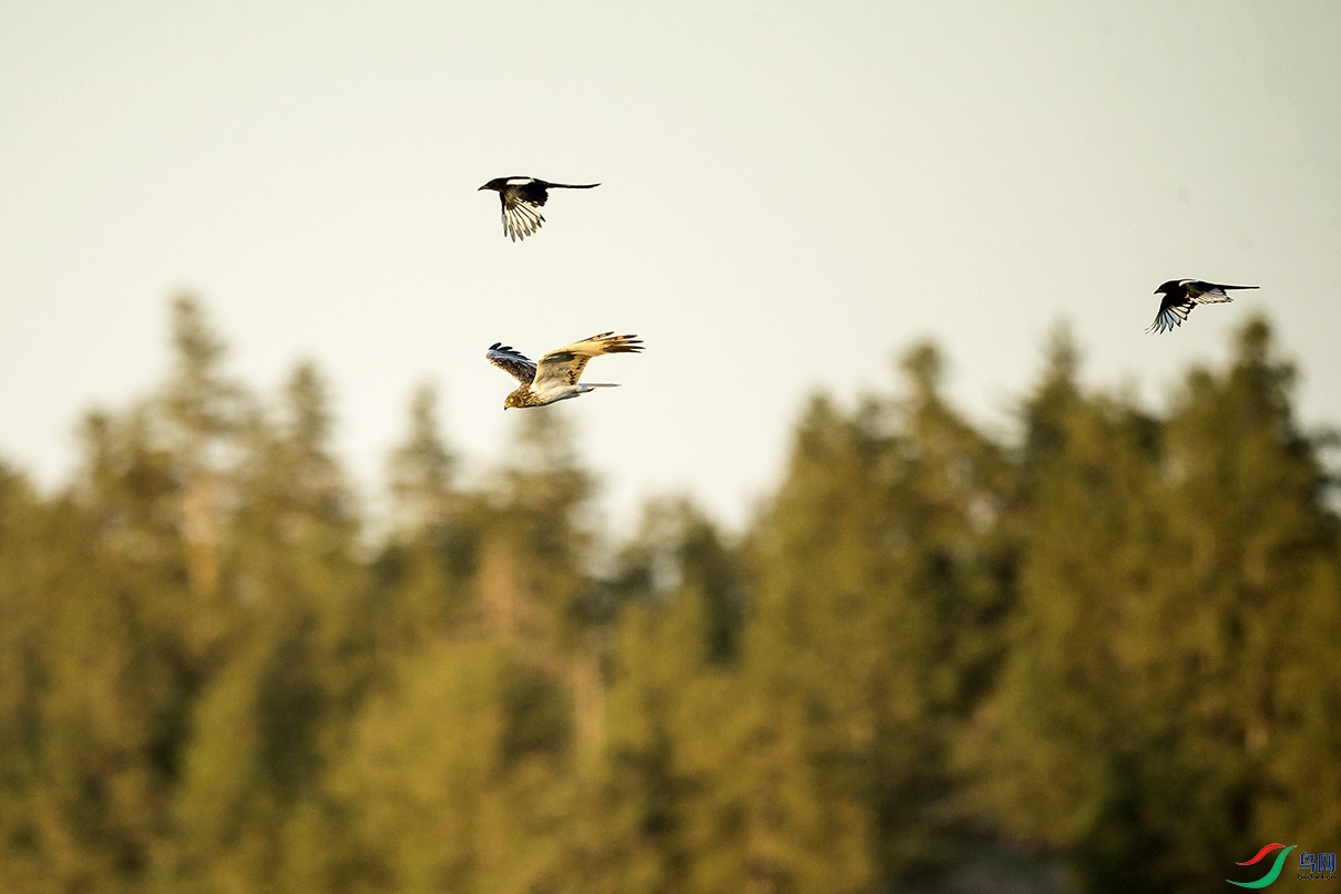 _DSC8975.jpg