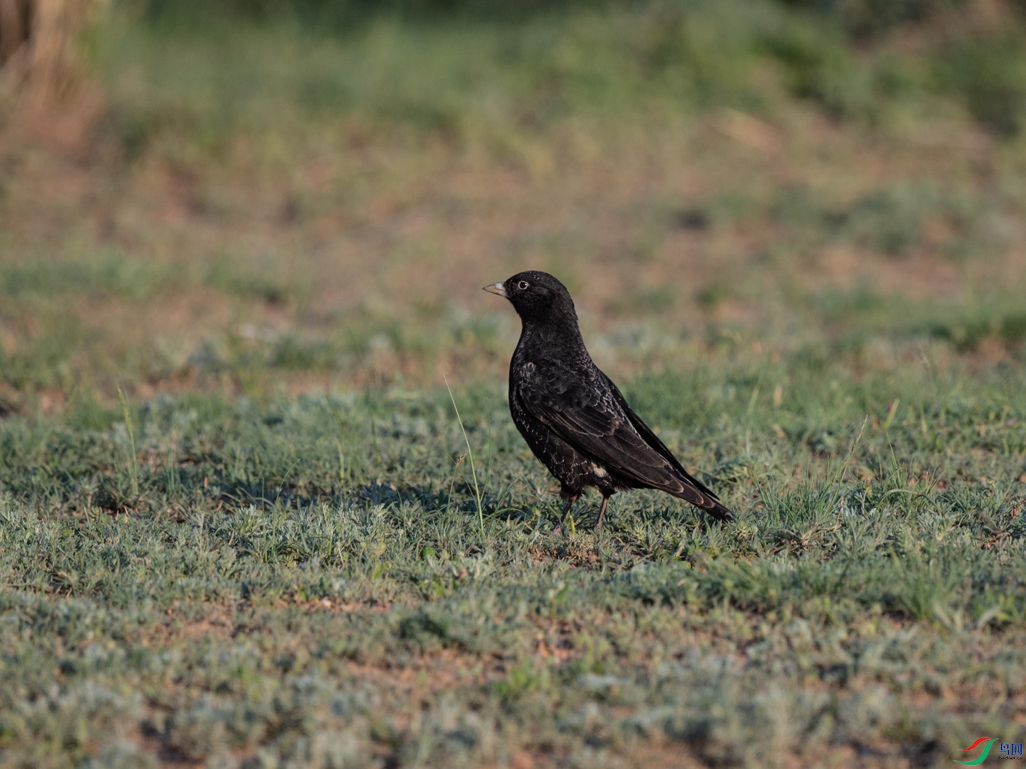DSC_3912.jpg