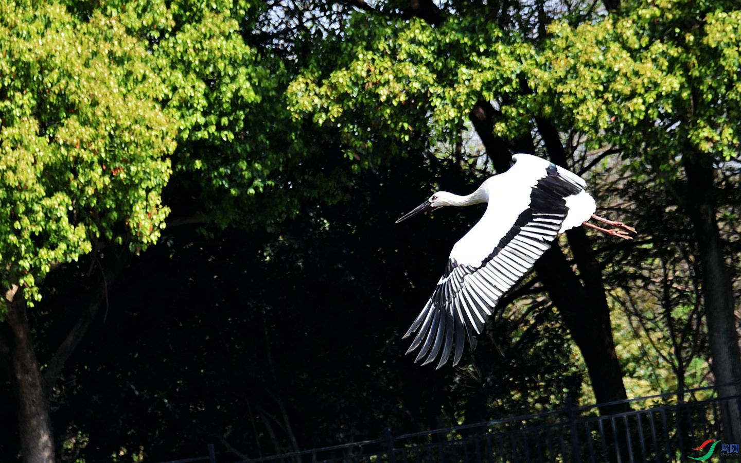 336 (261)_����.jpg