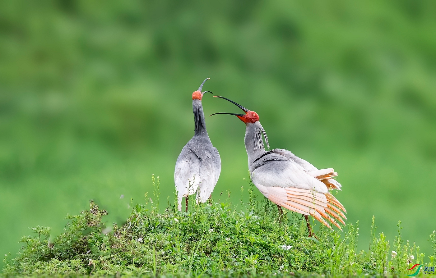 DSC_7696 ����_����.jpg