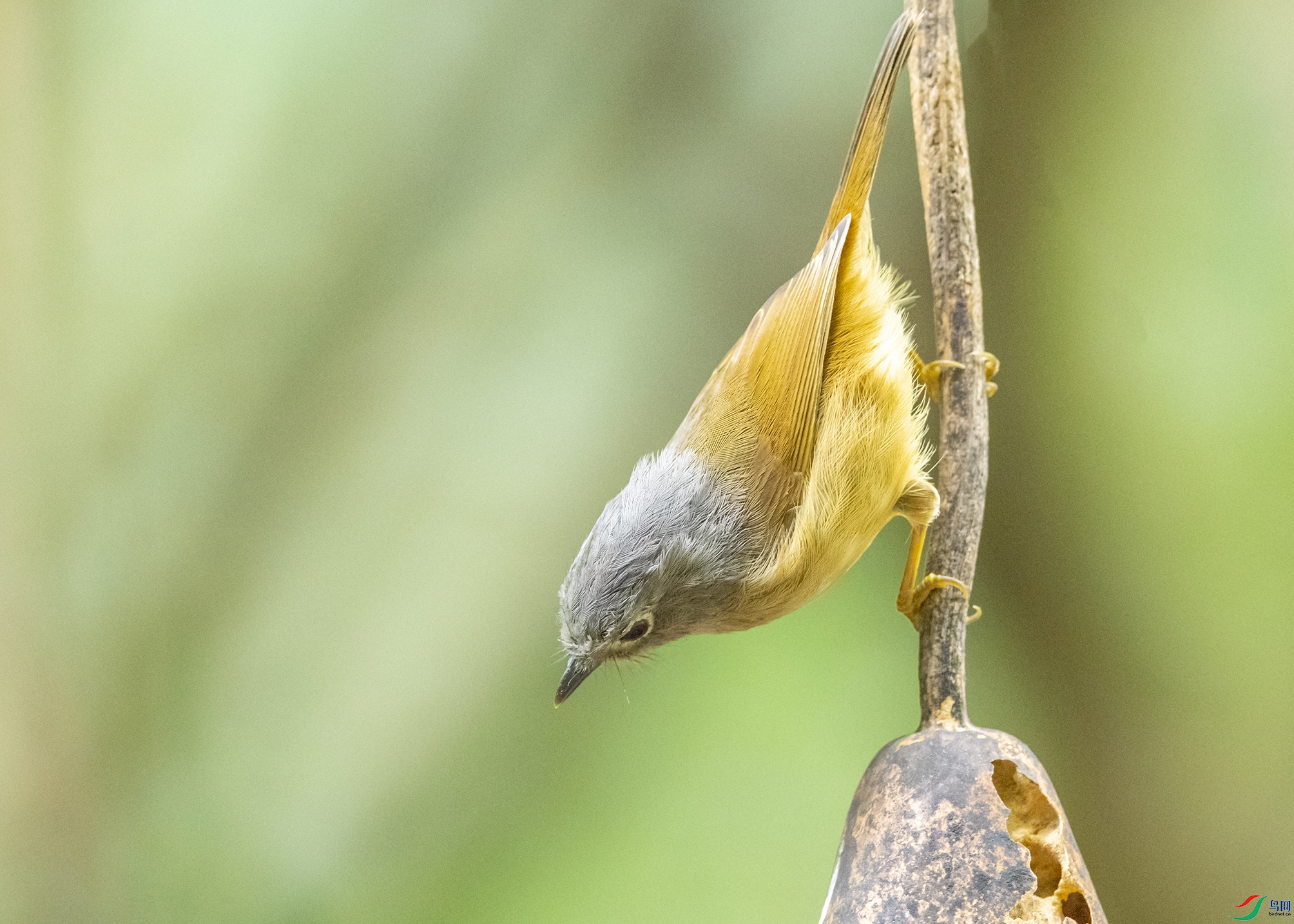 5642 ����.jpg