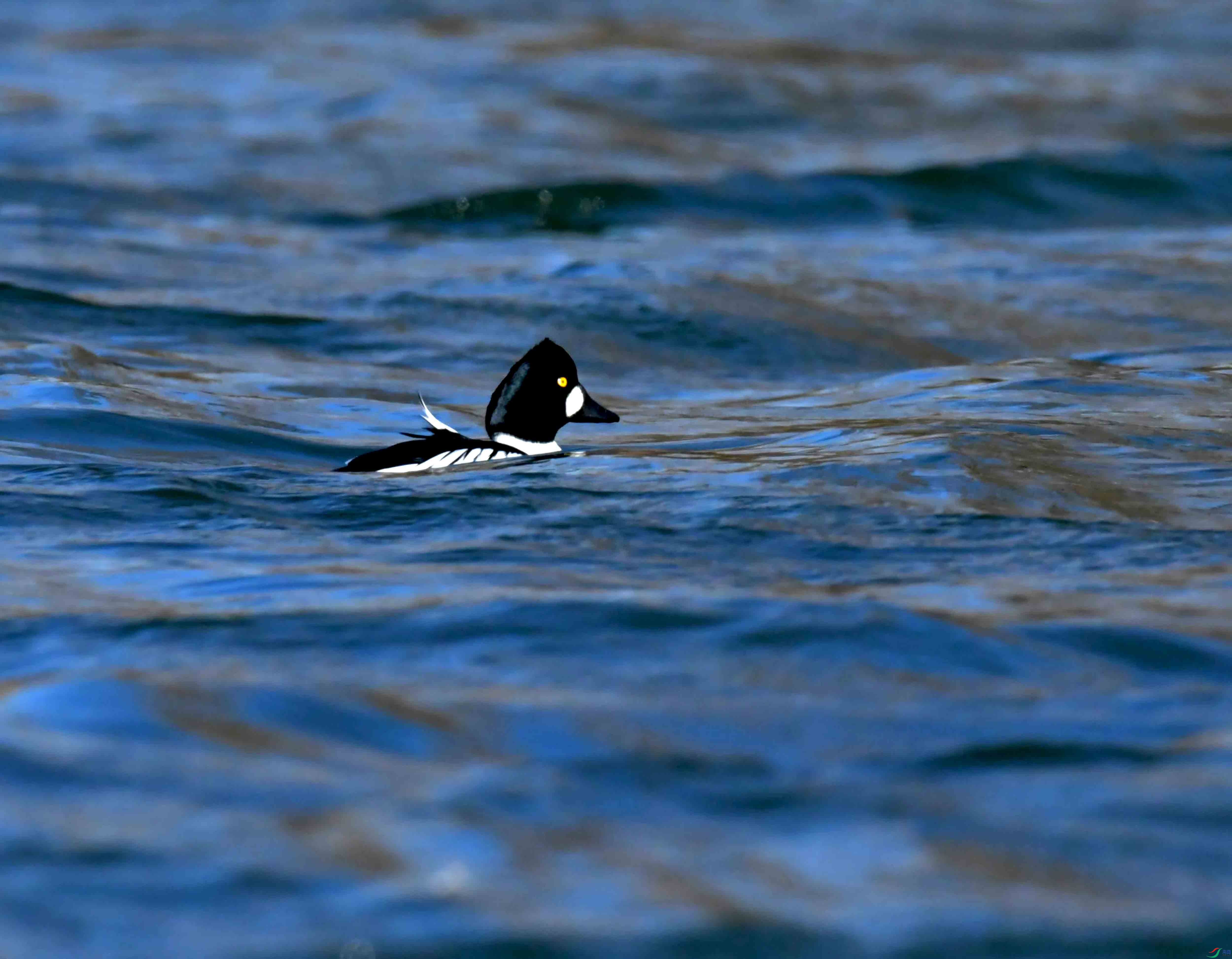 DSC_0327.JPG