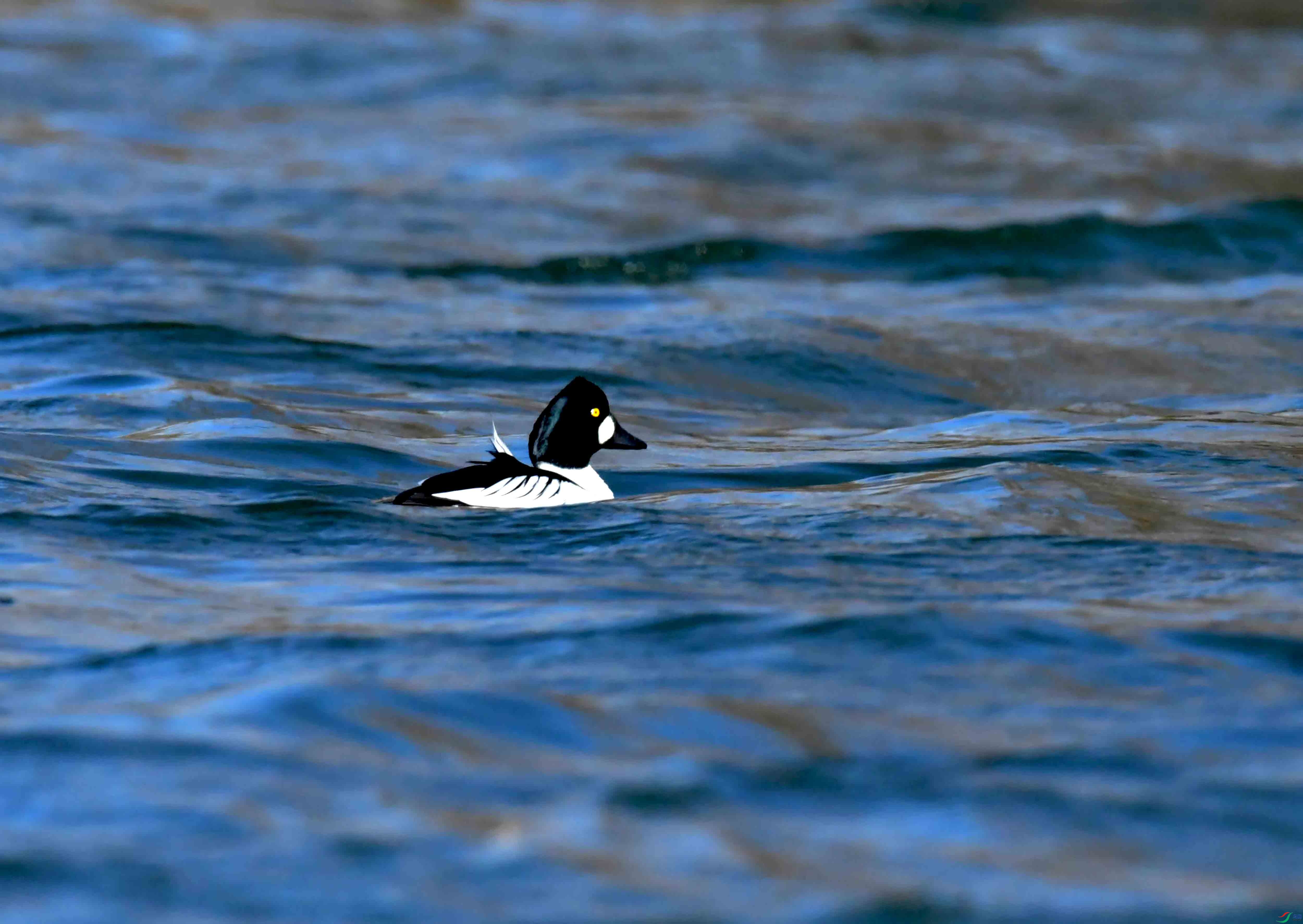 DSC_0328.JPG