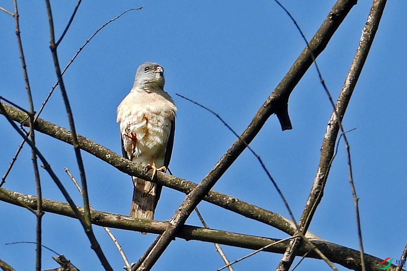 DSCN6385.JPG