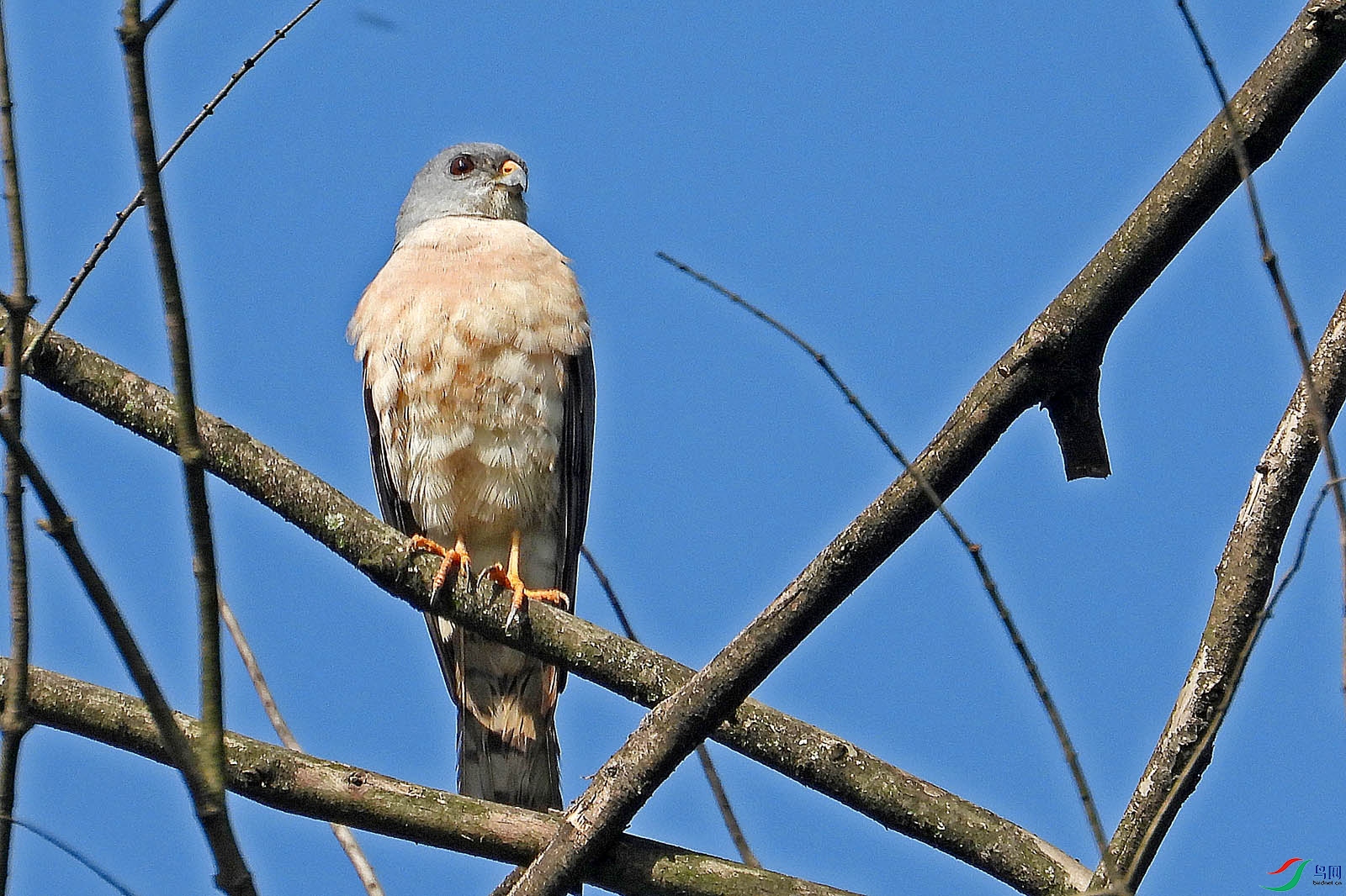 DSCN6392.jpg