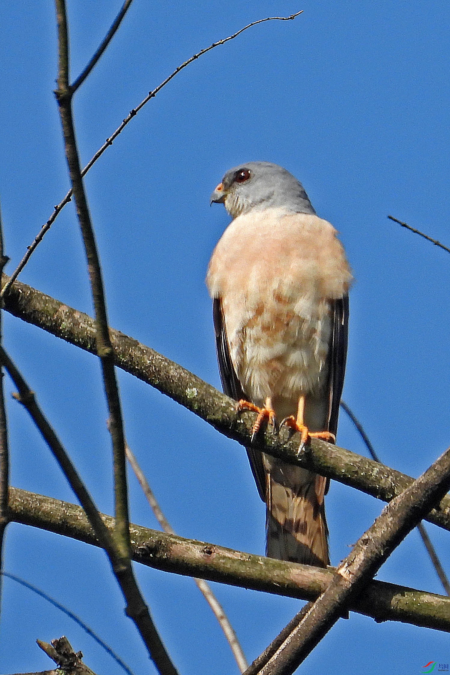 DSCN6397.JPG