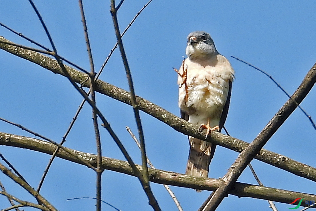 DSCN6384.JPG