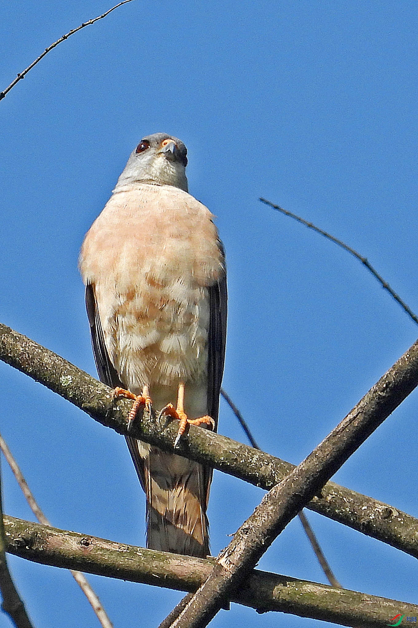 DSCN6399.JPG