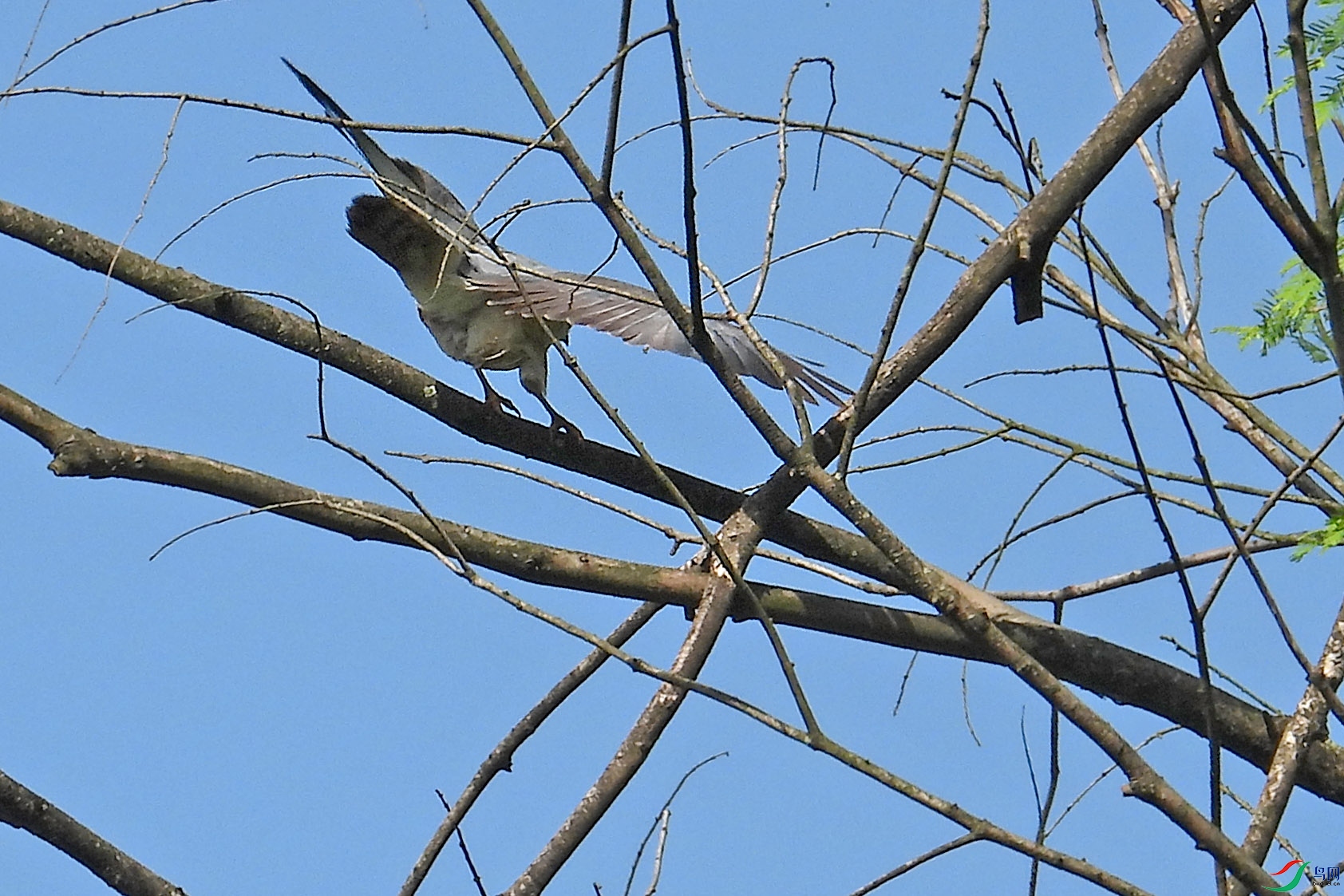 DSCN6408.JPG