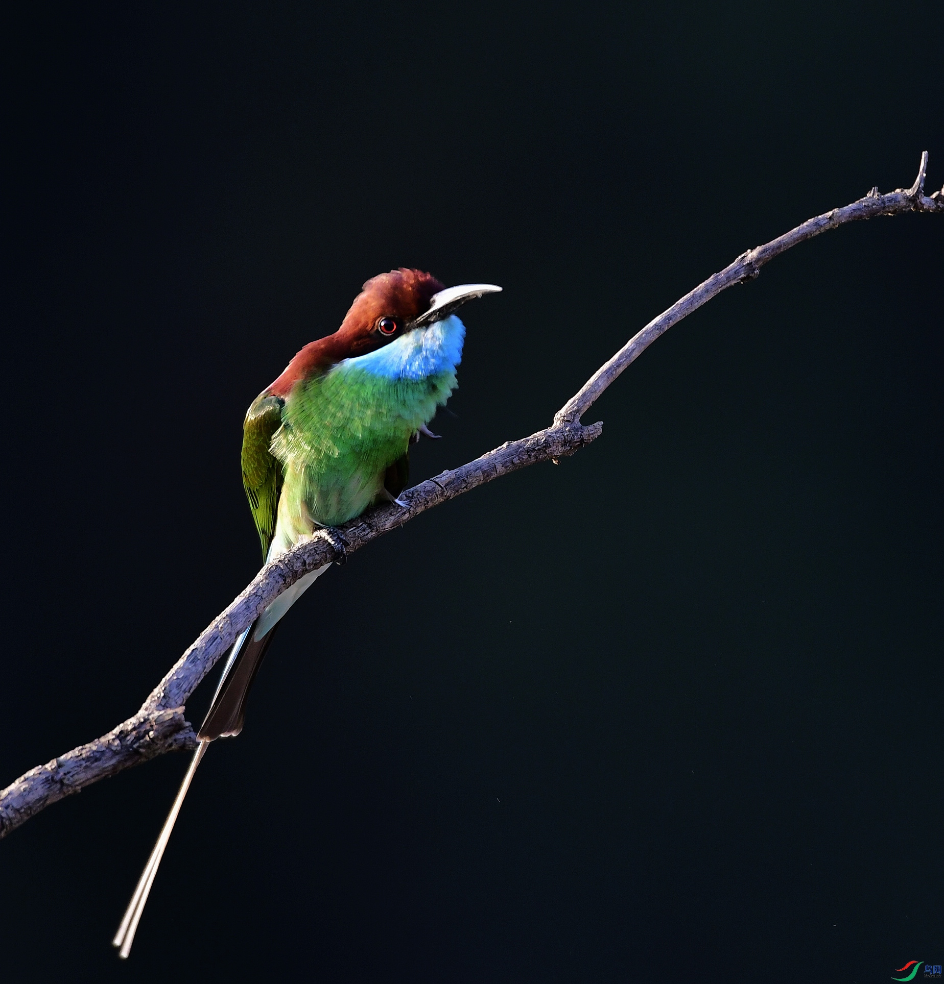_D5D9559.jpg