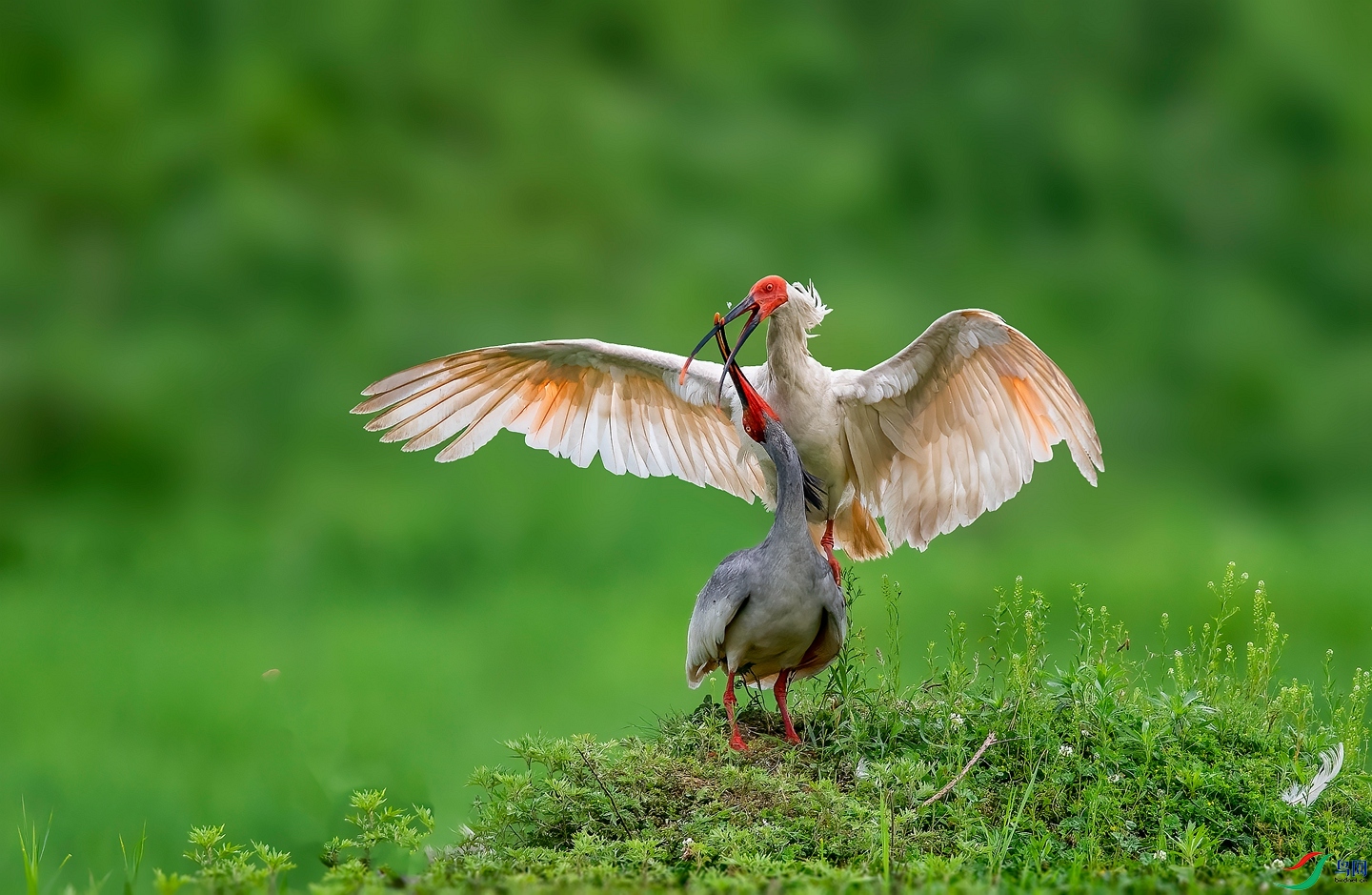 DSC_7778 ����_����.jpg