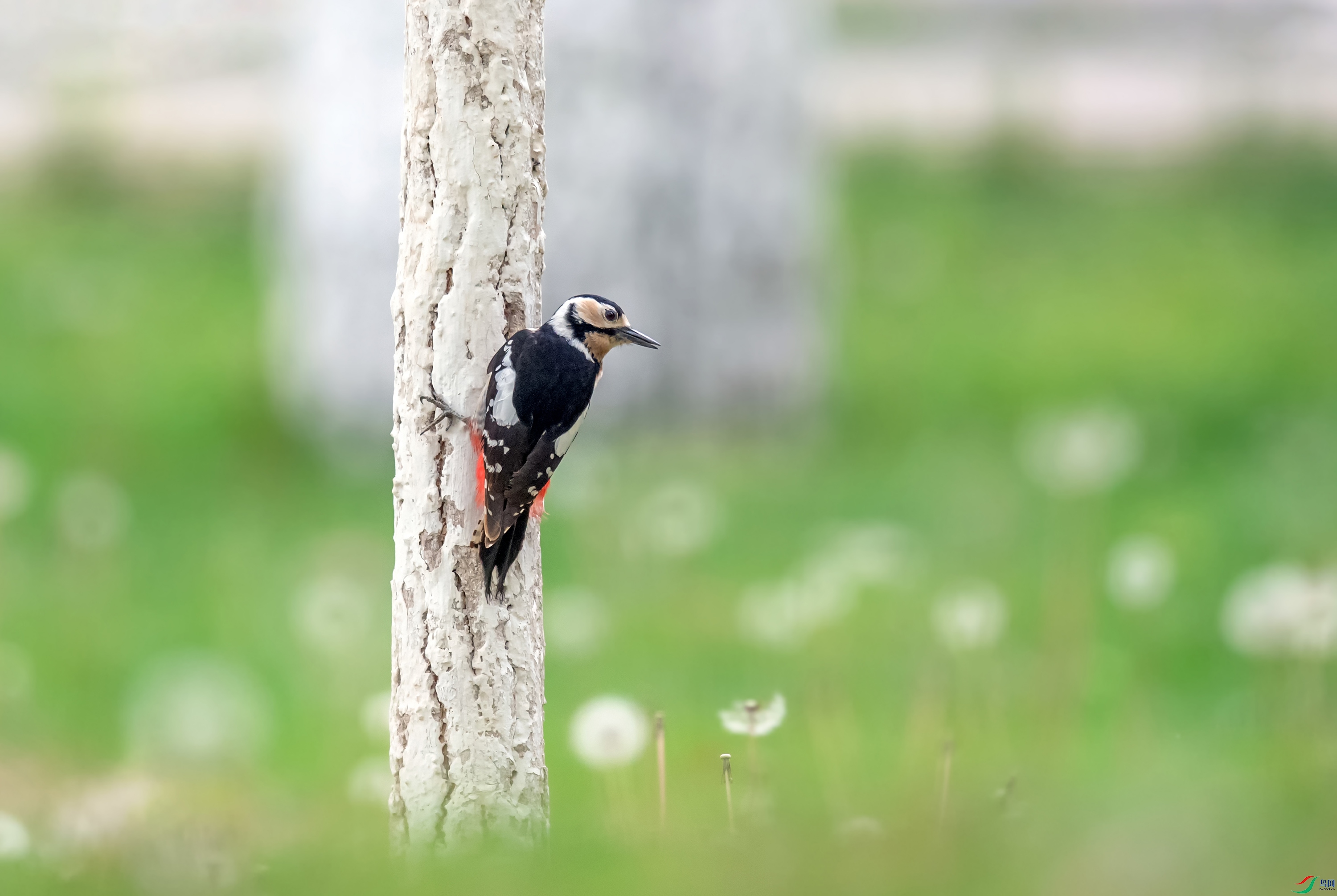 _DSC9327_��ͼ��.jpg-bet.jpg