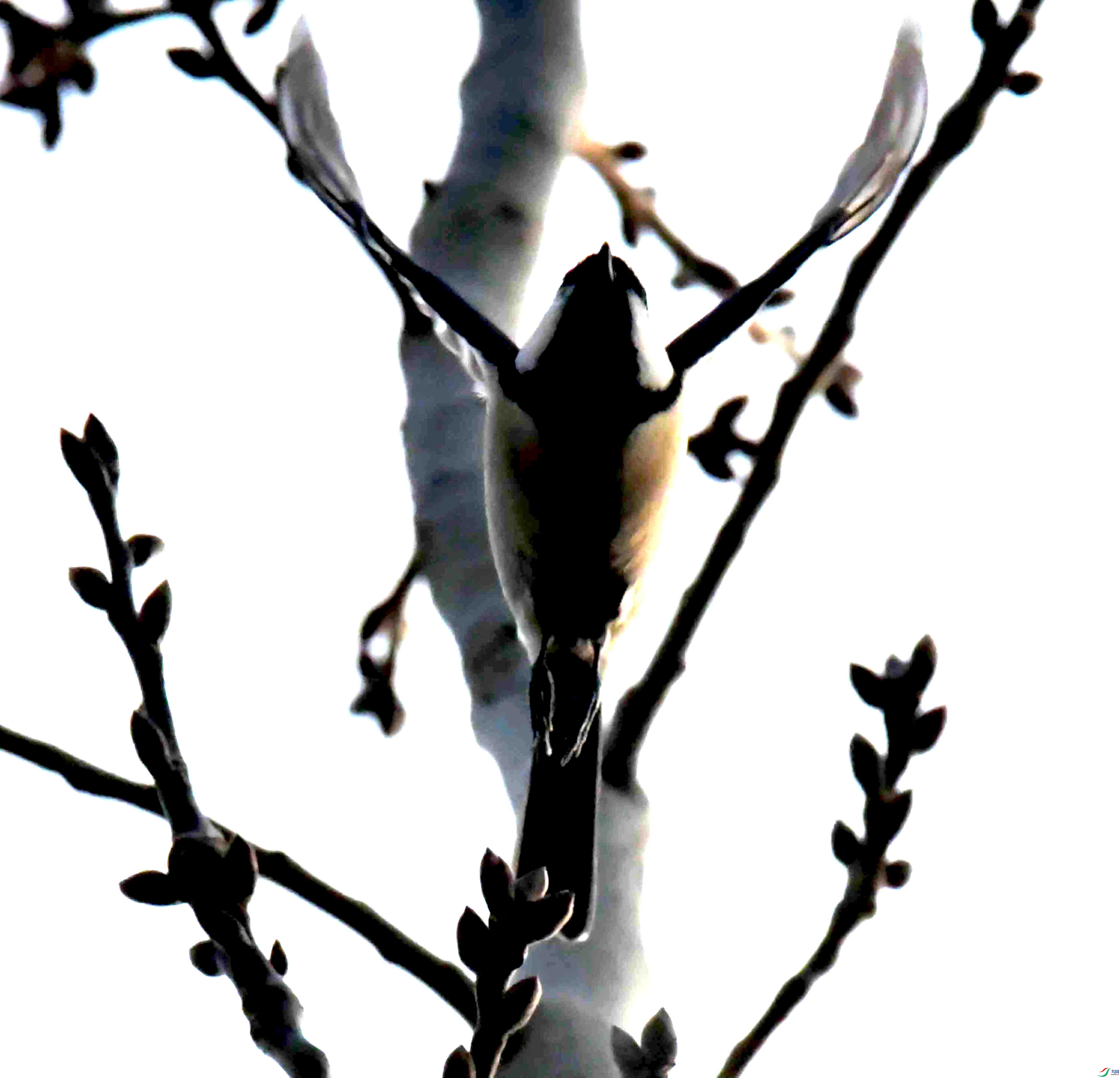 DSC_1816.JPG