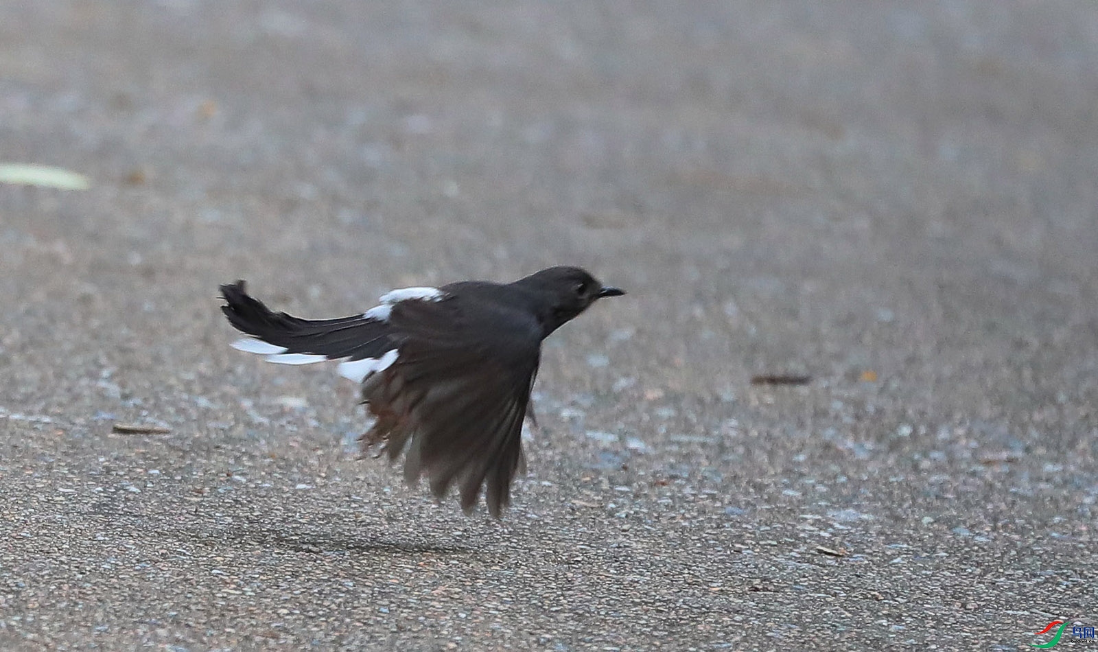 B83I5008 - ����.JPG