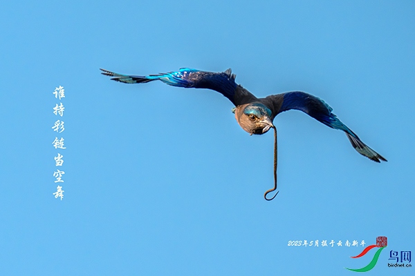 DSC08518-����ǿ-NR-1 ���� 2.jpg