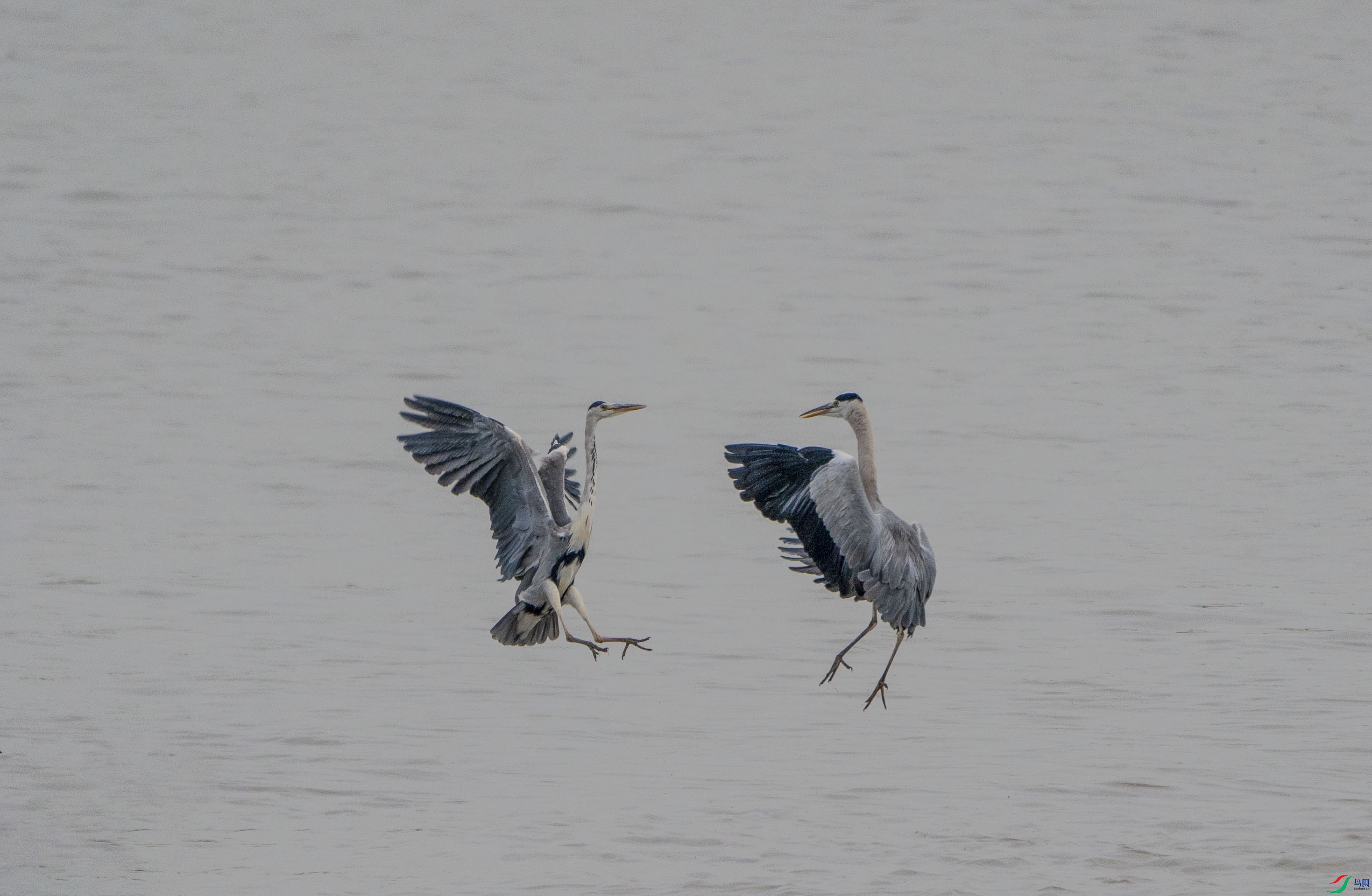 _DSC0927-.jpg