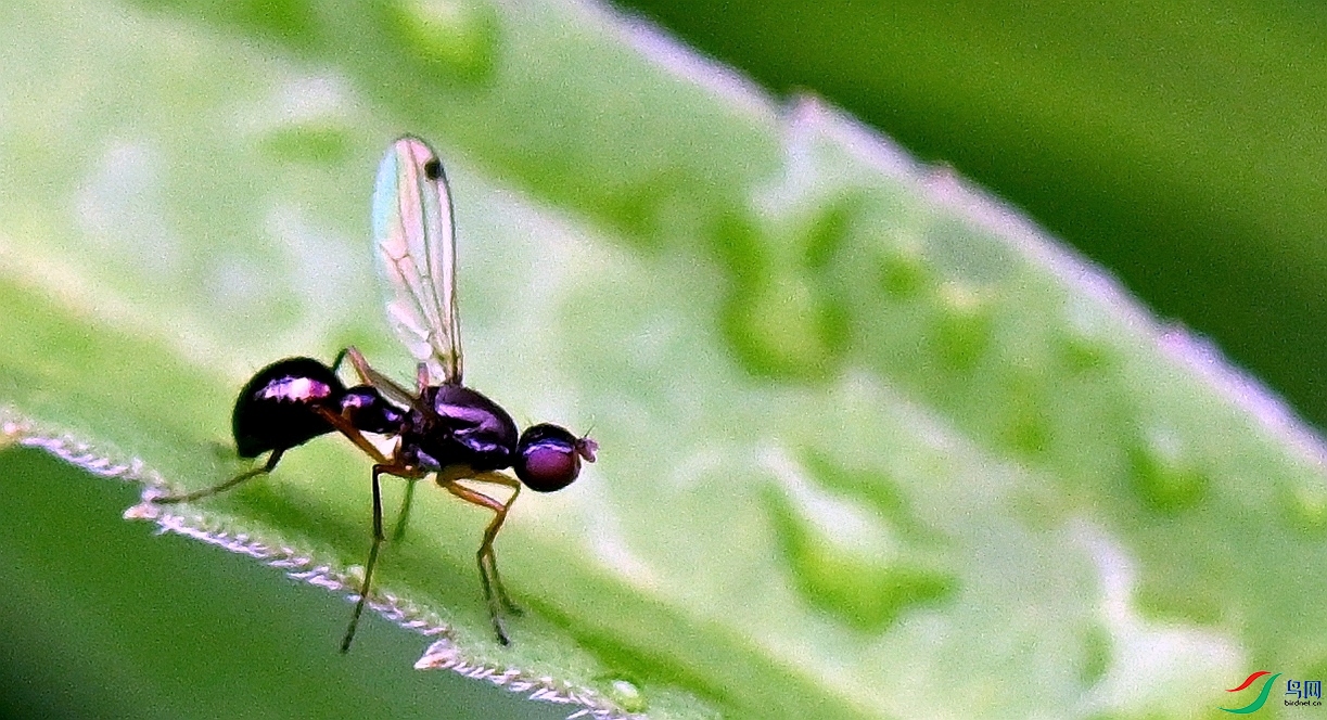 CFH_2510.JPG