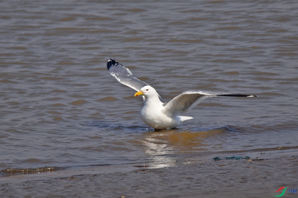 DSC_3788չ��.jpg
