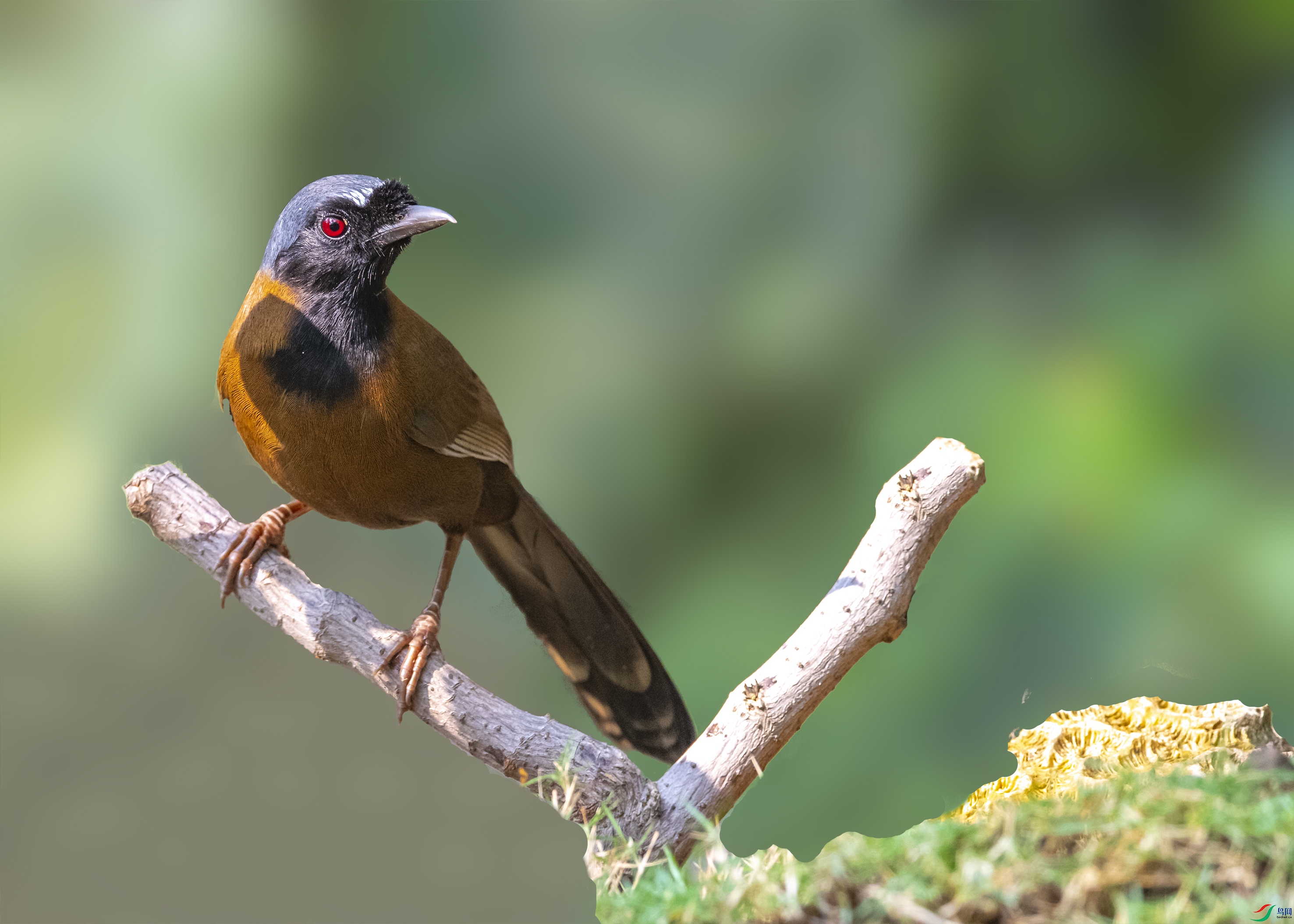 6846 ����.jpg