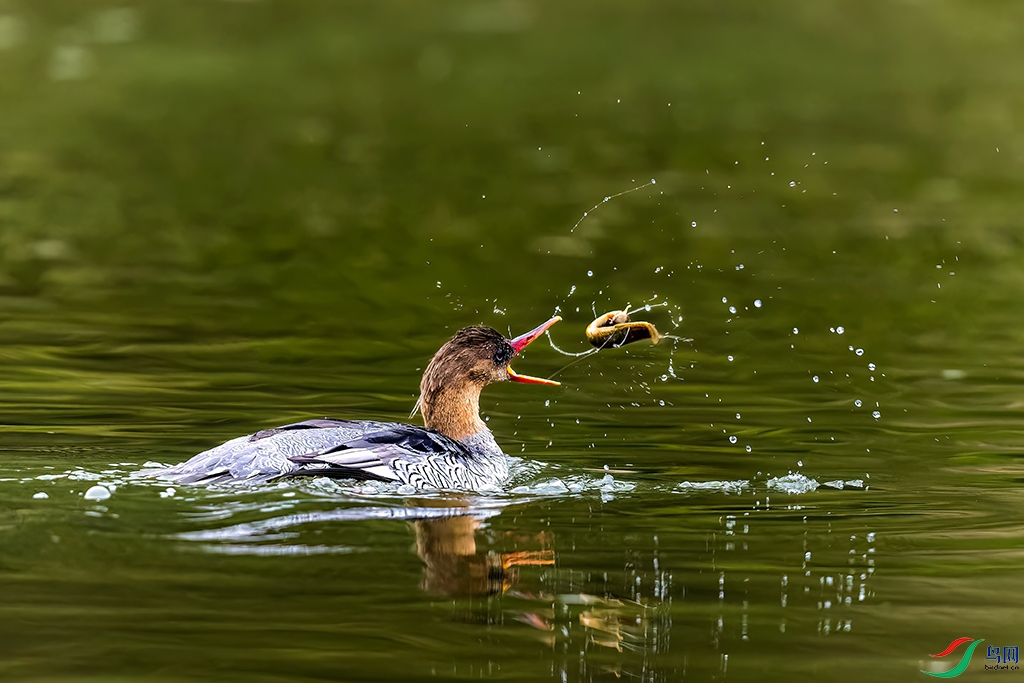 jxwyR230312 (624)_DxO.jpg