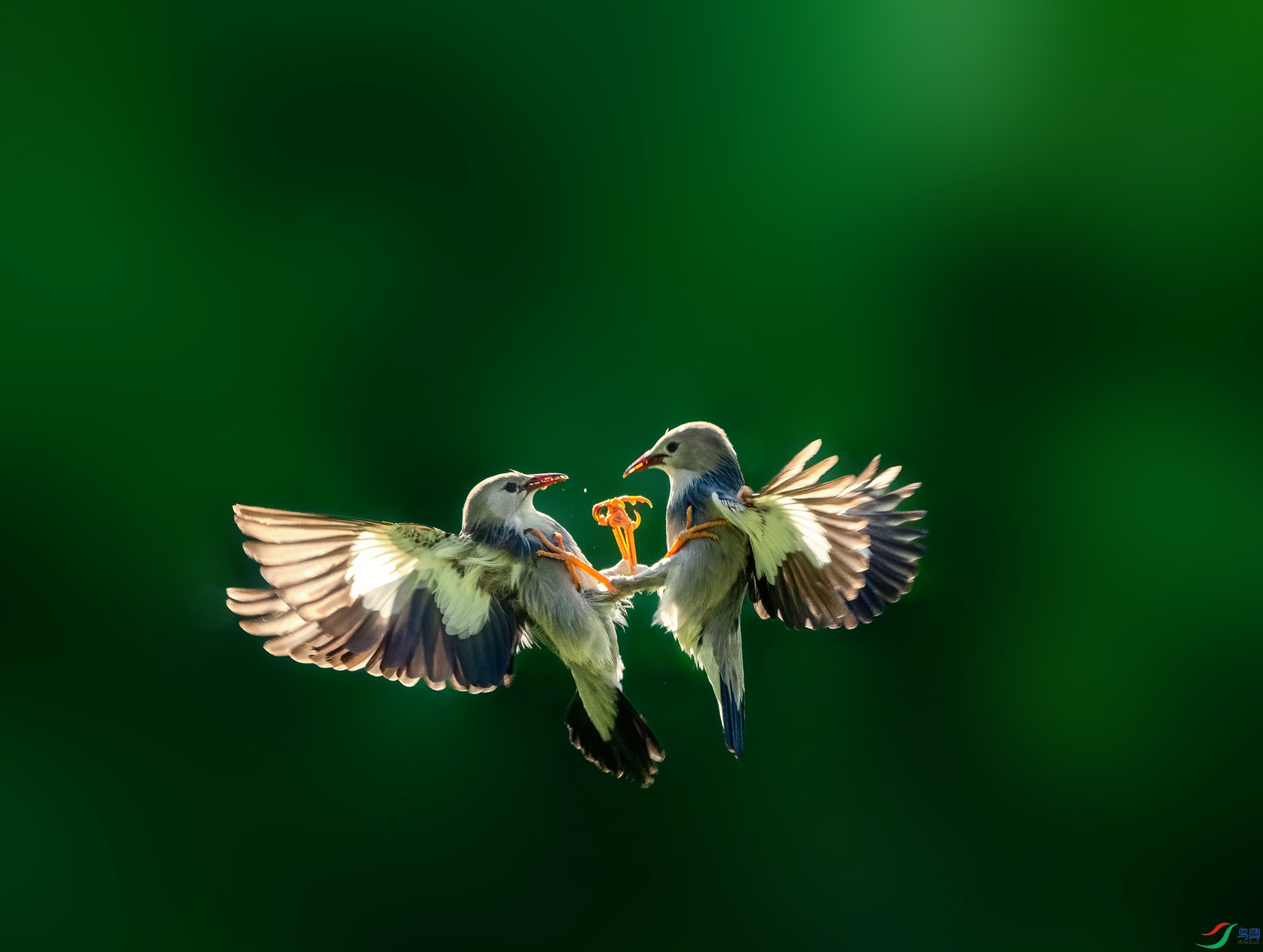 _DSC9346 ����.jpg