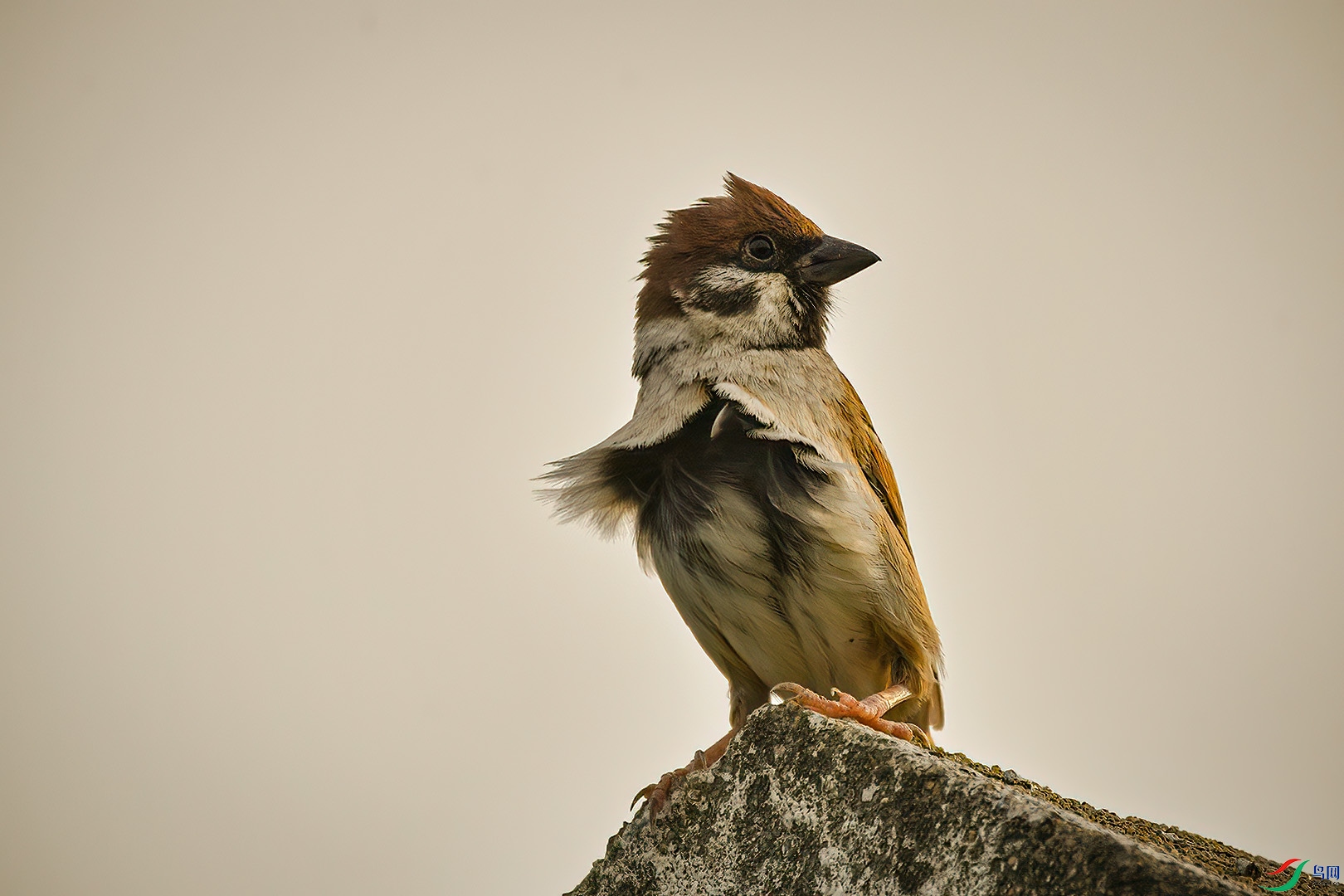 DSC_0056.jpg