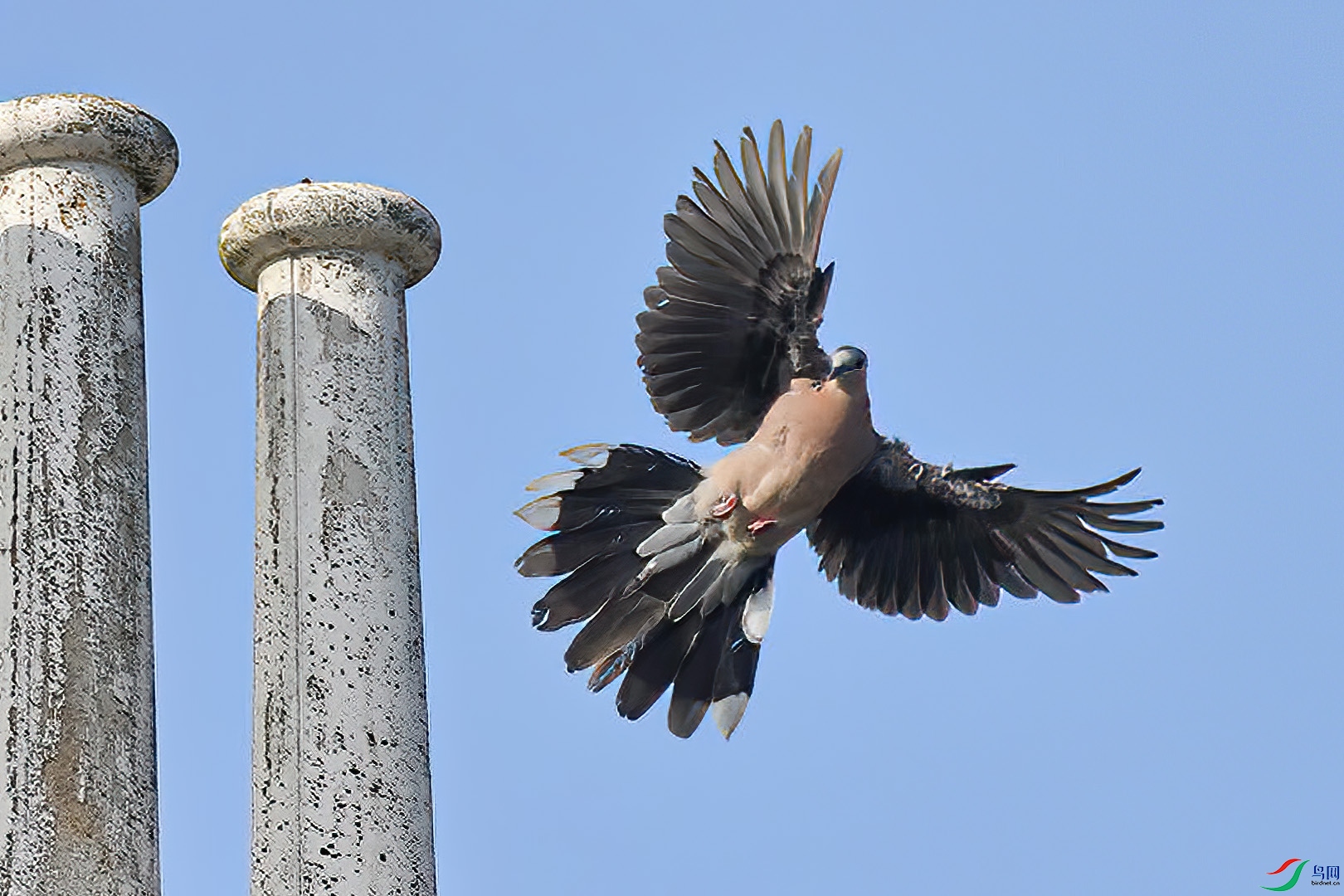 DSC_9863.jpg