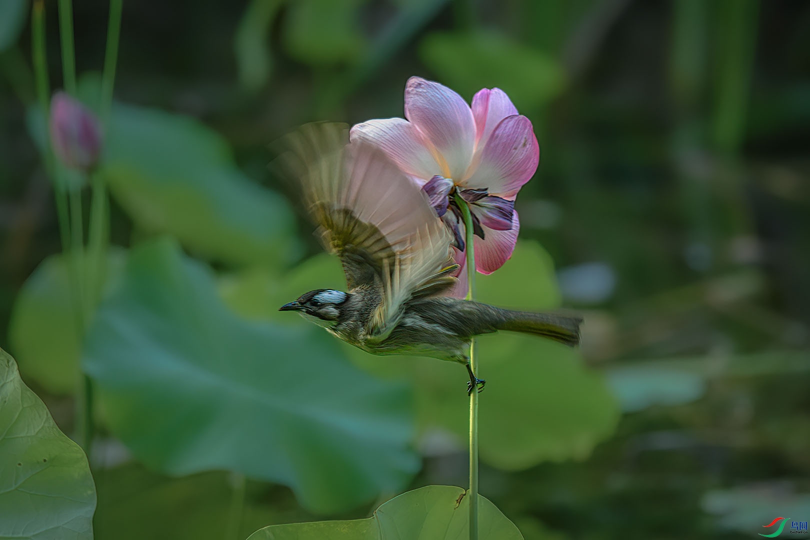 DSC_4692.jpg