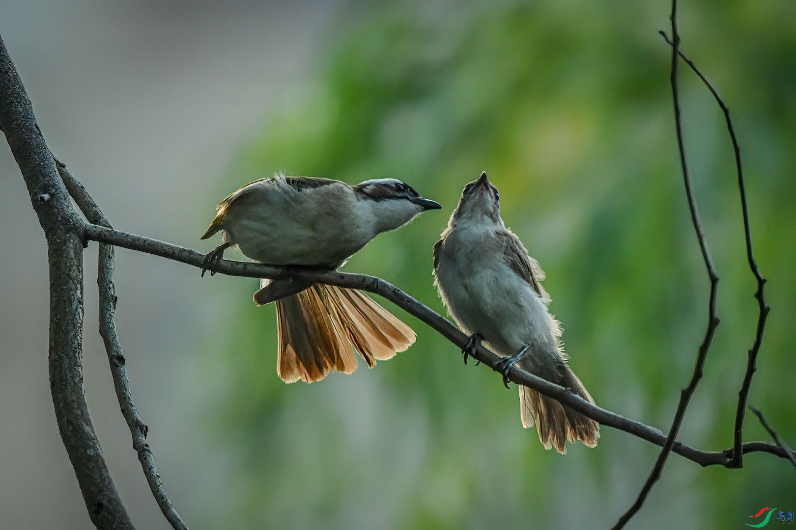 DSC_5450.jpg