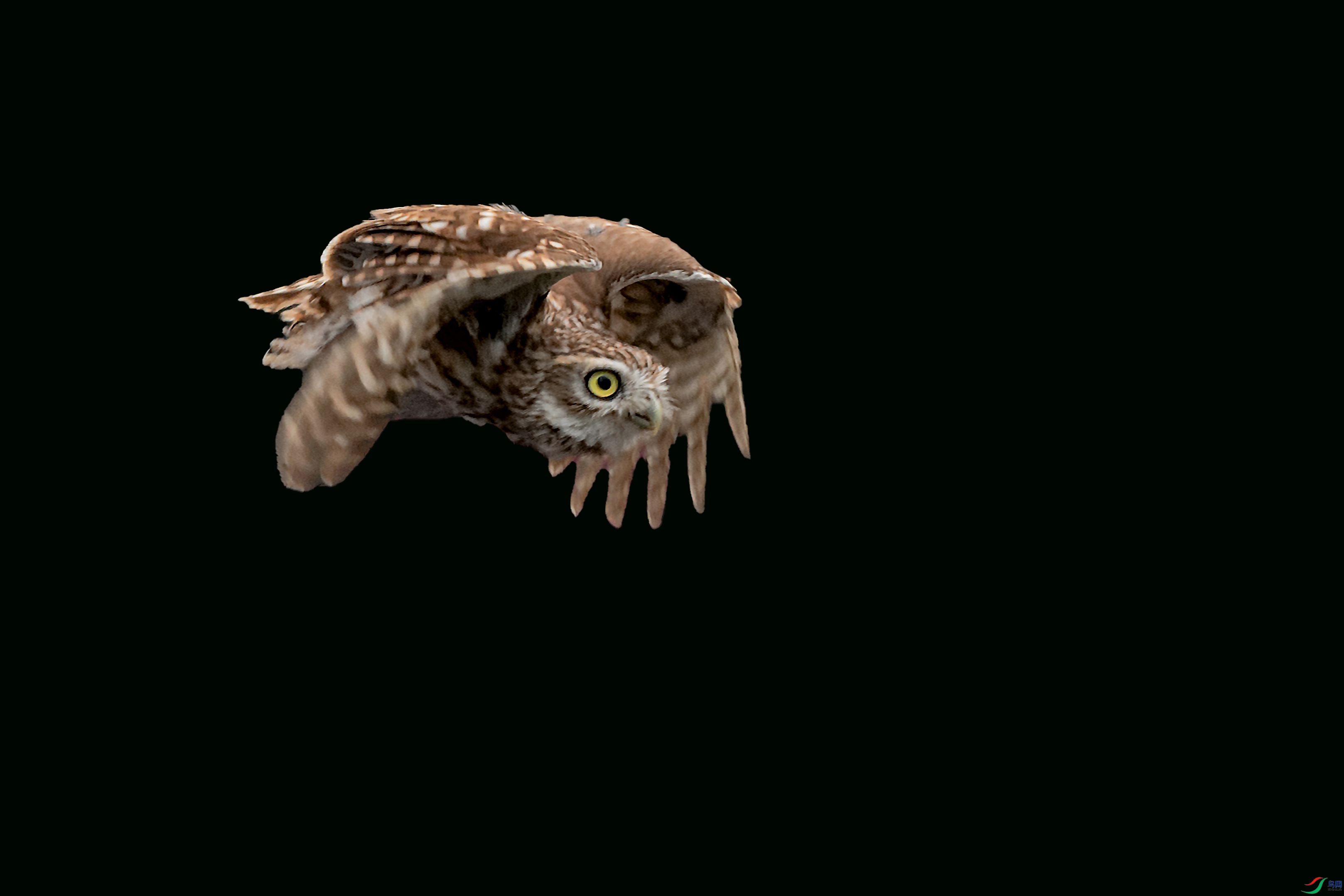 3DSC_7445_DxO.jpg