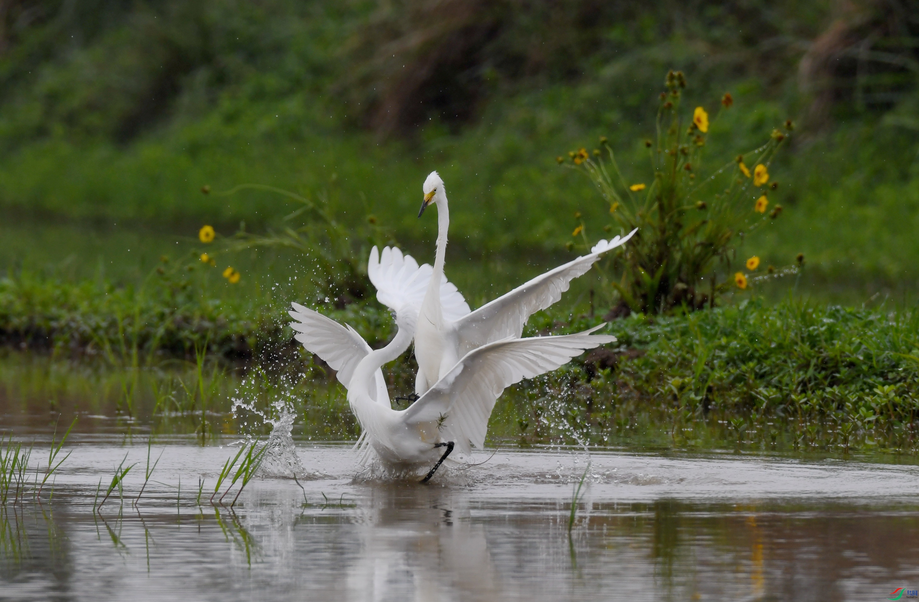 �а��� ��կ (2).JPG