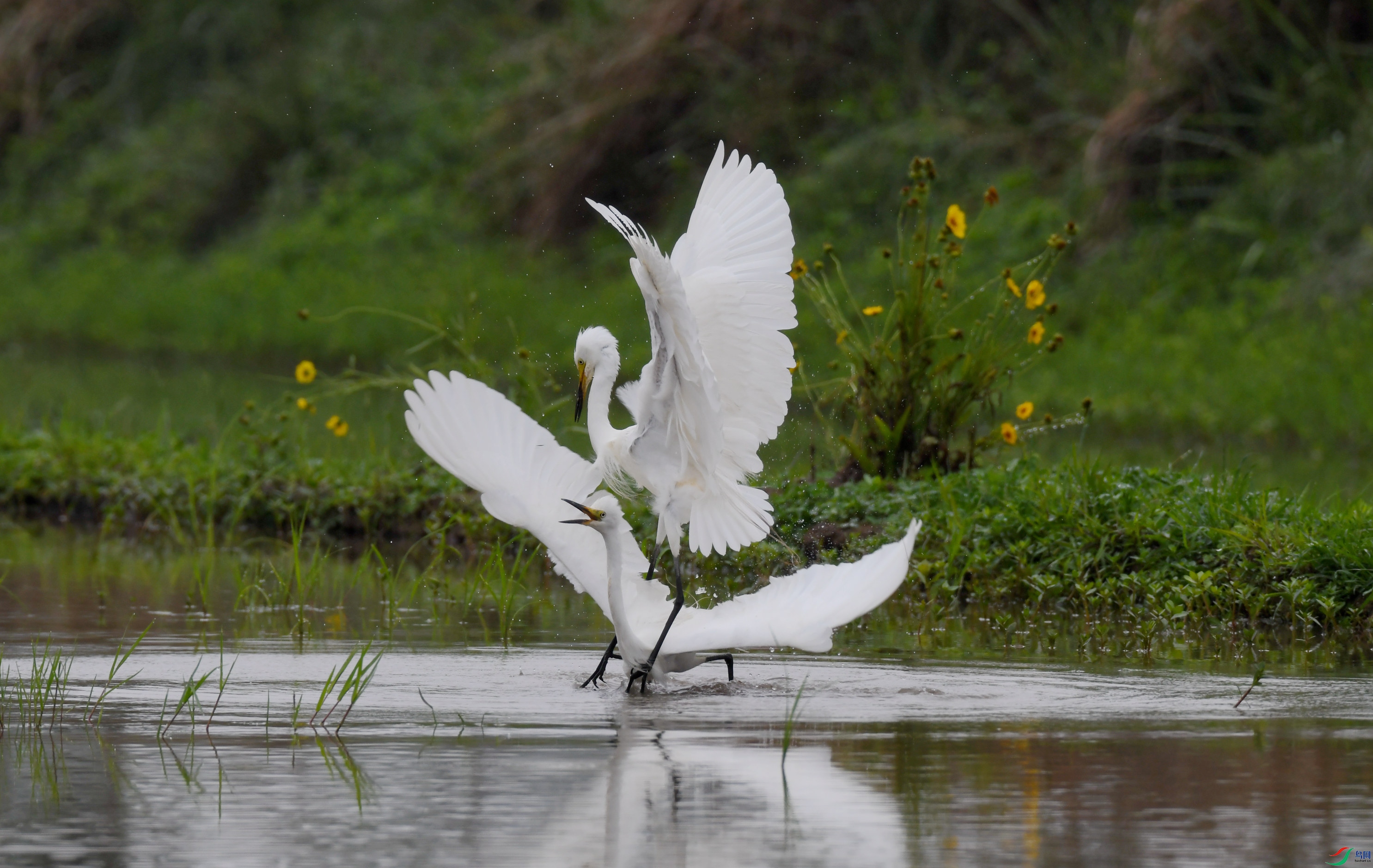 �а��� ��կ (1).JPG