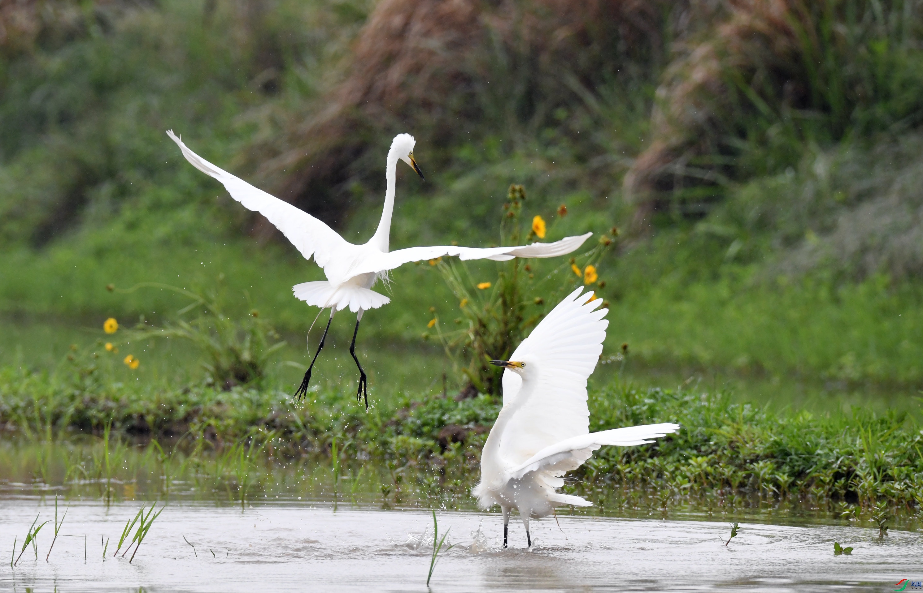 �а��� ��կ (5).JPG