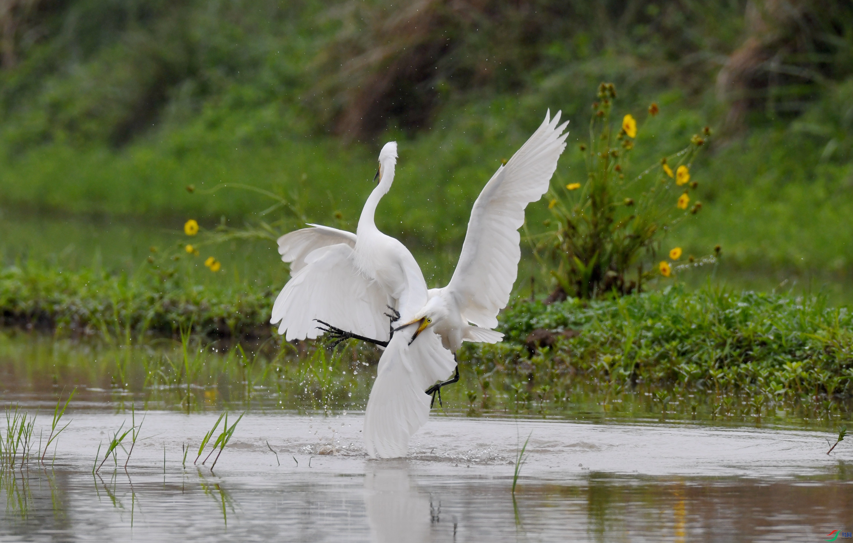 �а��� ��կ (3).JPG