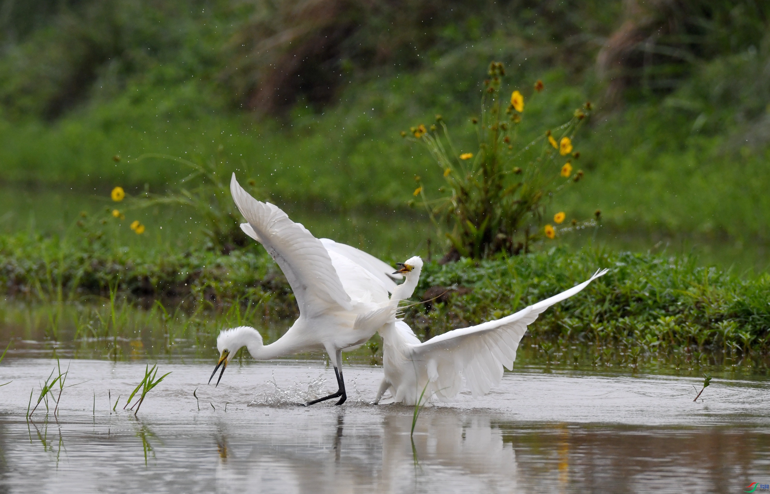 �а��� ��կ (4).JPG