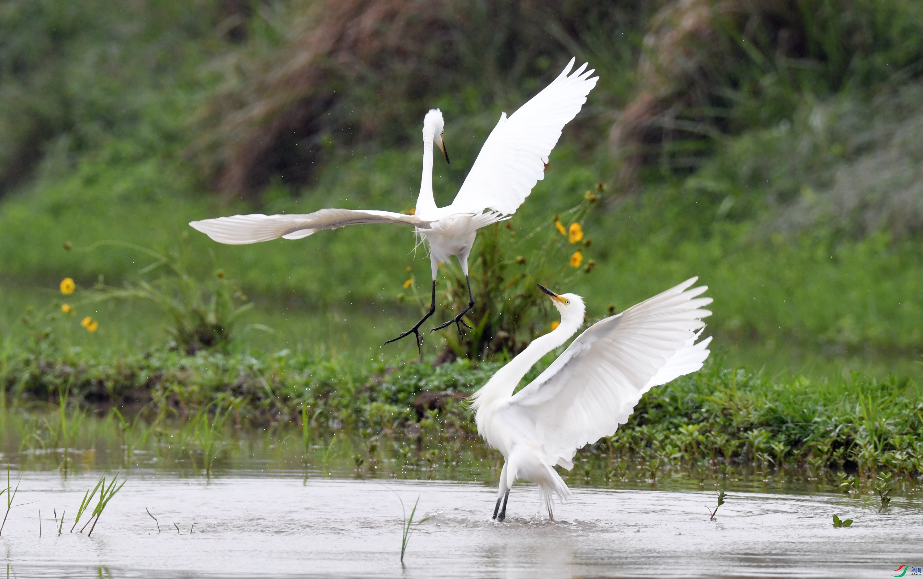 �а��� ��կ (6).JPG