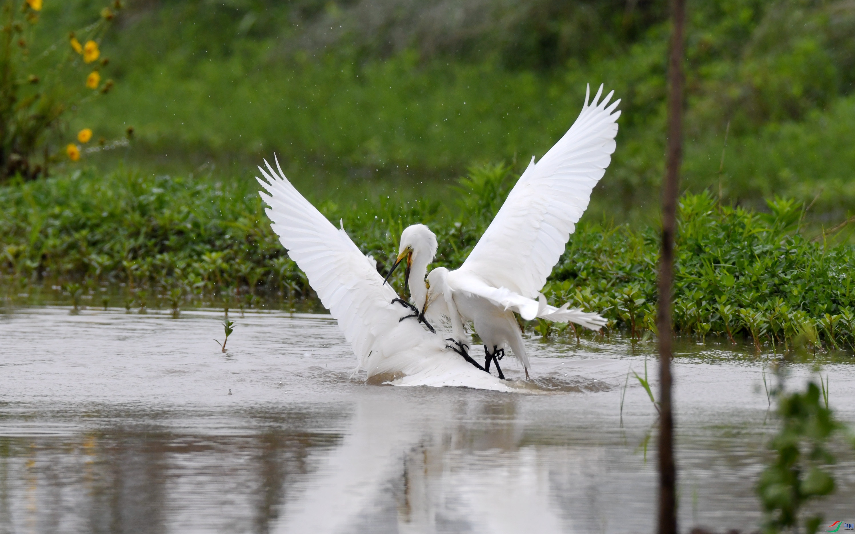 �а��� ��կ (8).JPG