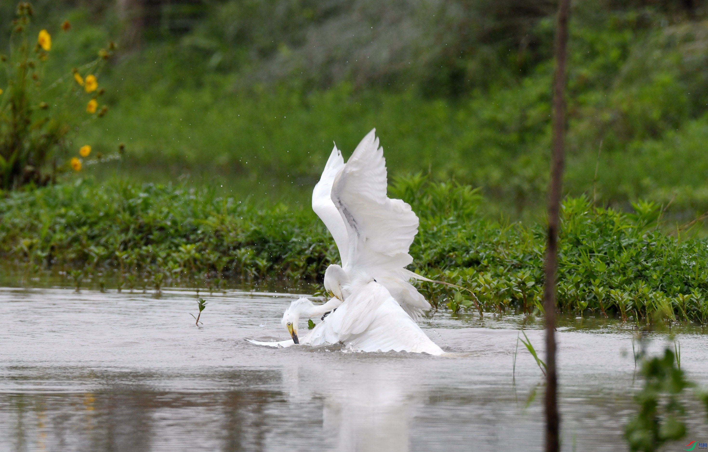 �а��� ��կ (9).JPG