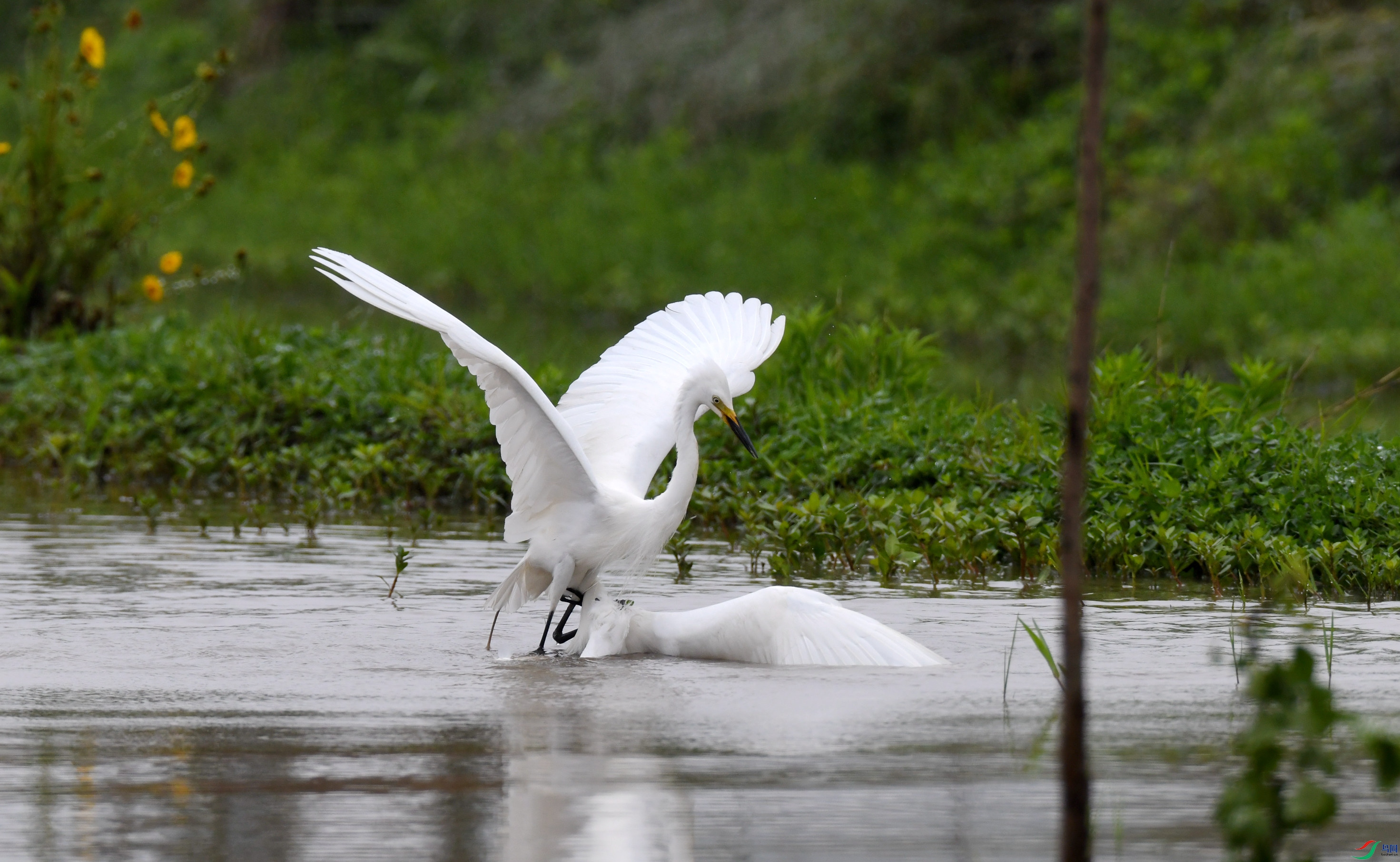 �а��� ��կ (10).JPG