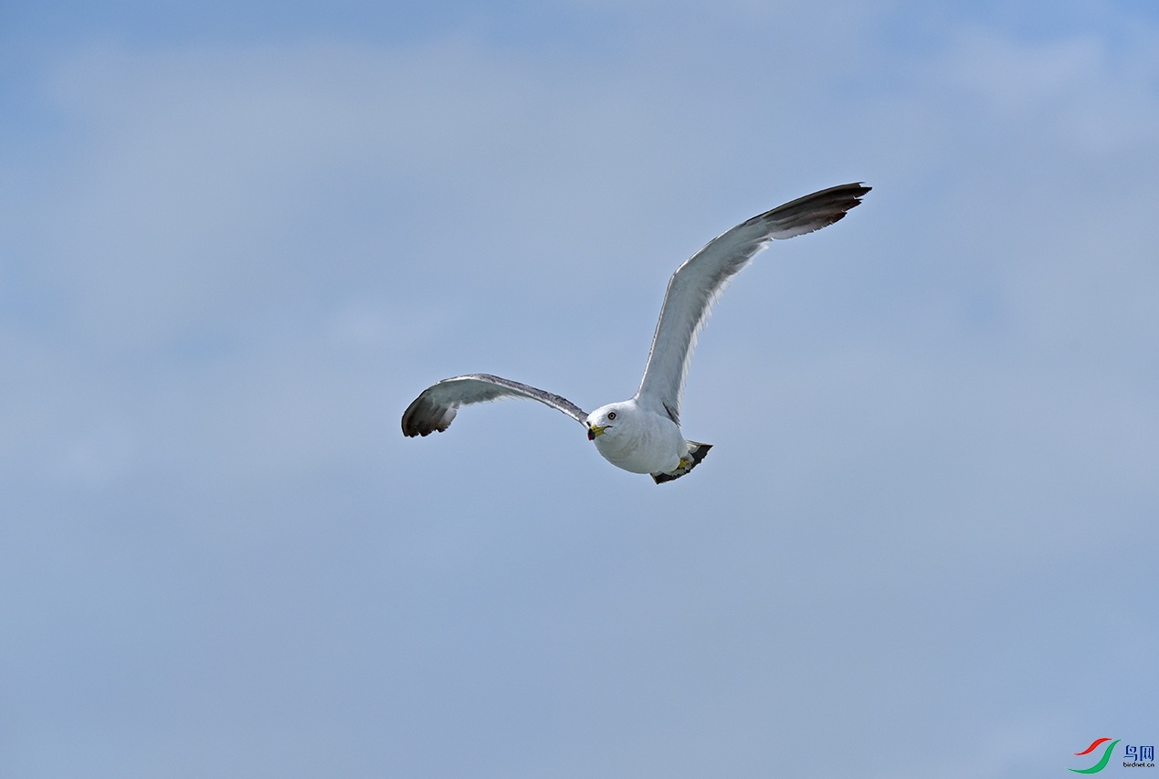 DSC_4936չ��.jpg