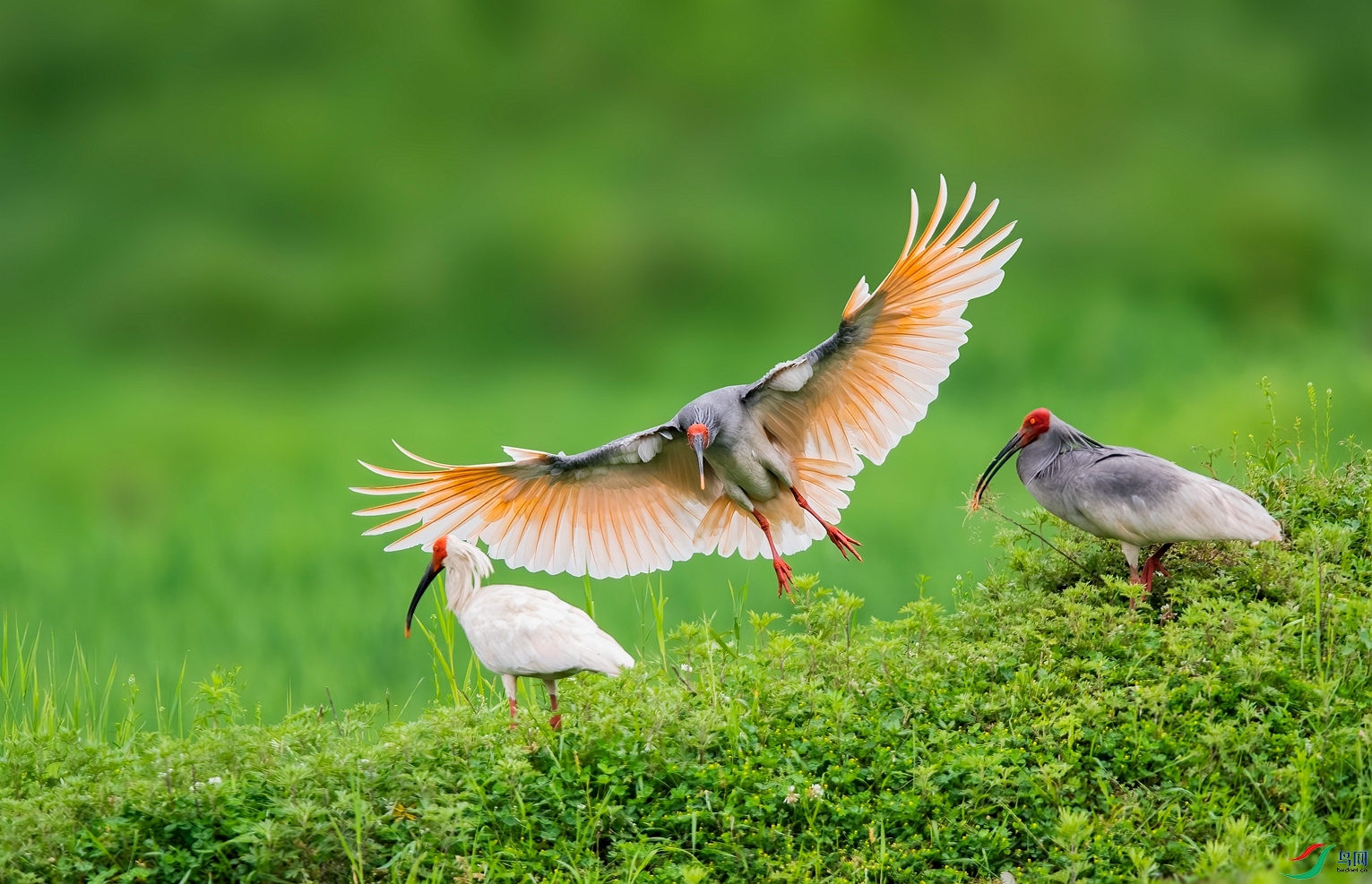 DSC_7107 ����_����.jpg